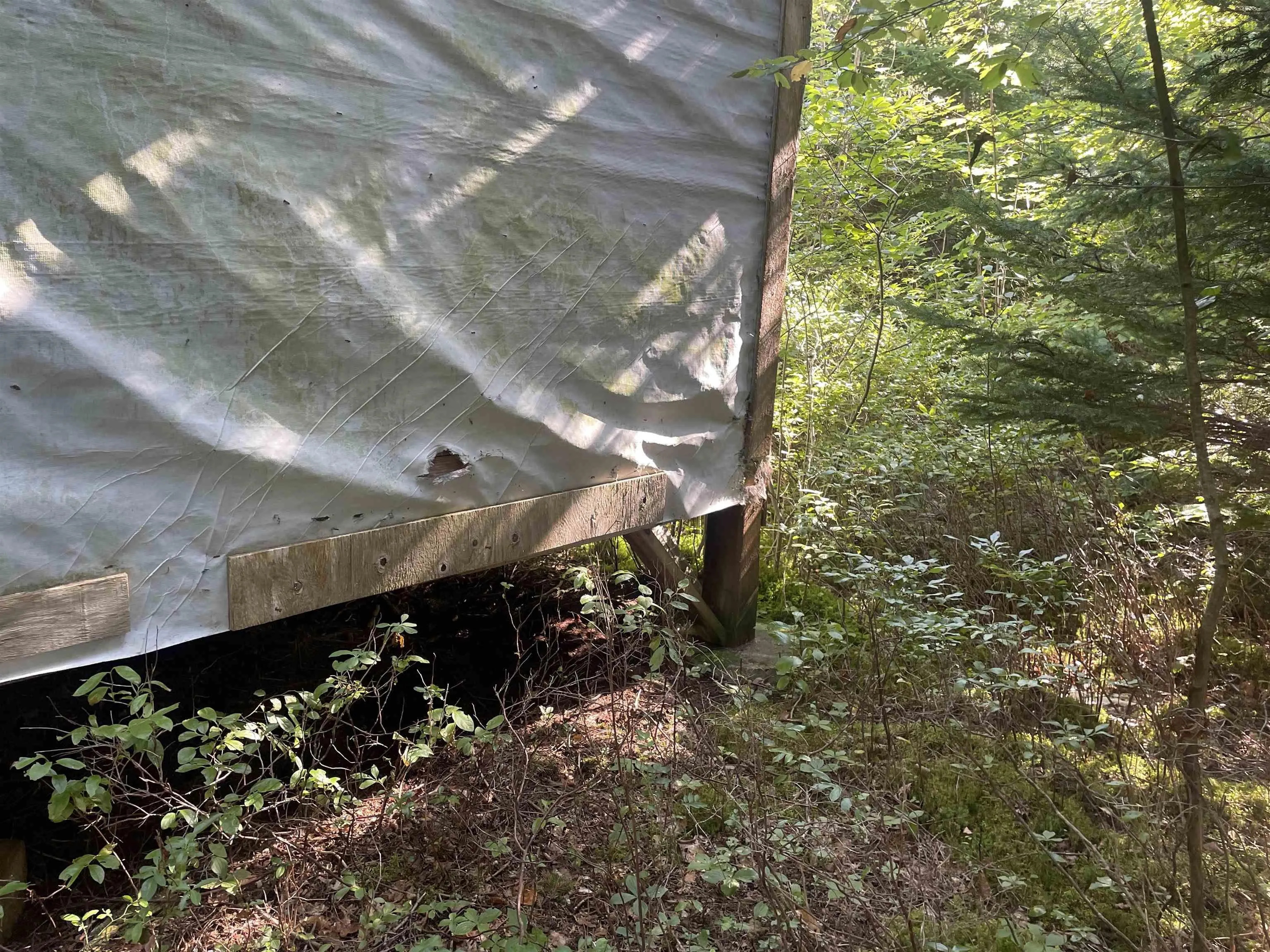 South Cove Road, South Cove Ns B0e 1t0, ,Land,For Sale,South Cove,202508087