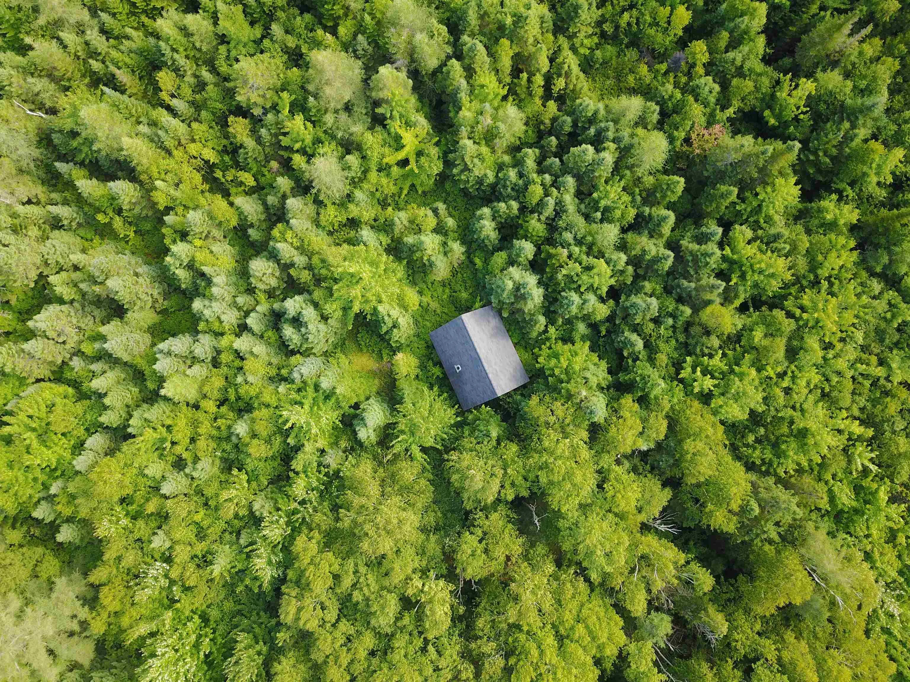 South Cove Road, South Cove Ns B0e 1t0, ,Land,For Sale,South Cove,202508087