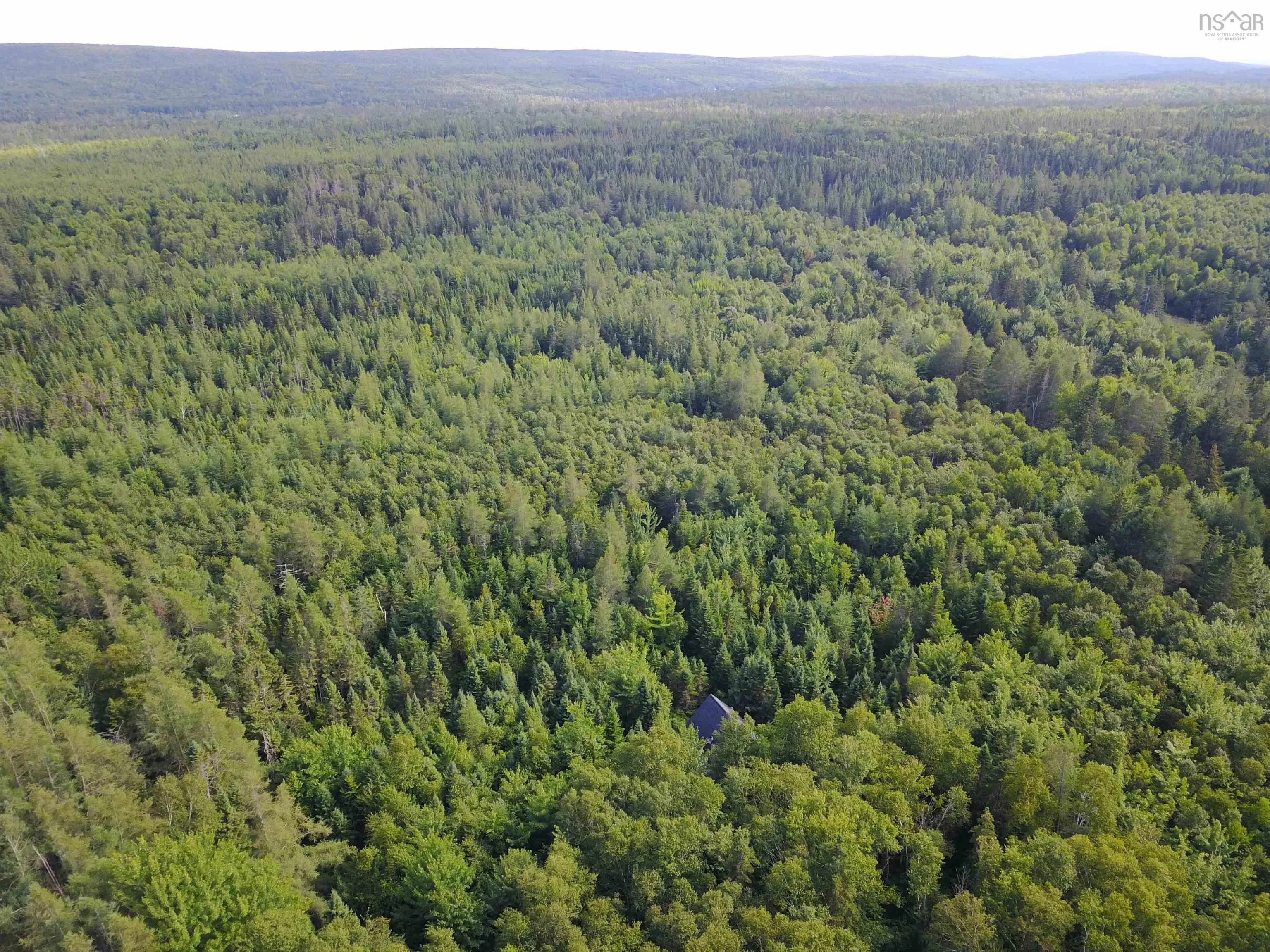 South Cove Road, South Cove Ns B0e 1t0, ,Land,For Sale,South Cove,202508087