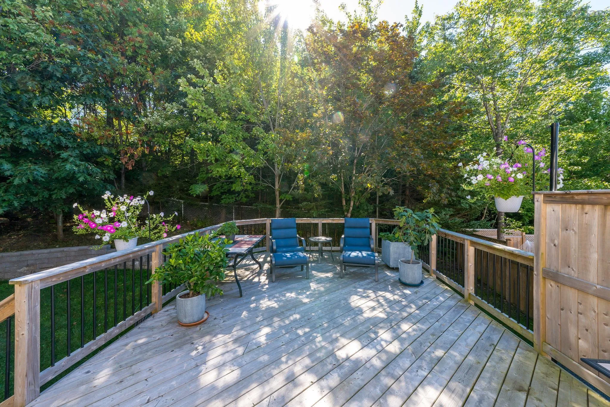 30 Banks Court, Dartmouth, NS B2X 2Y6, 4 Bedrooms Bedrooms, ,4 BathroomsBathrooms,Residential,For Sale,Banks,202522365