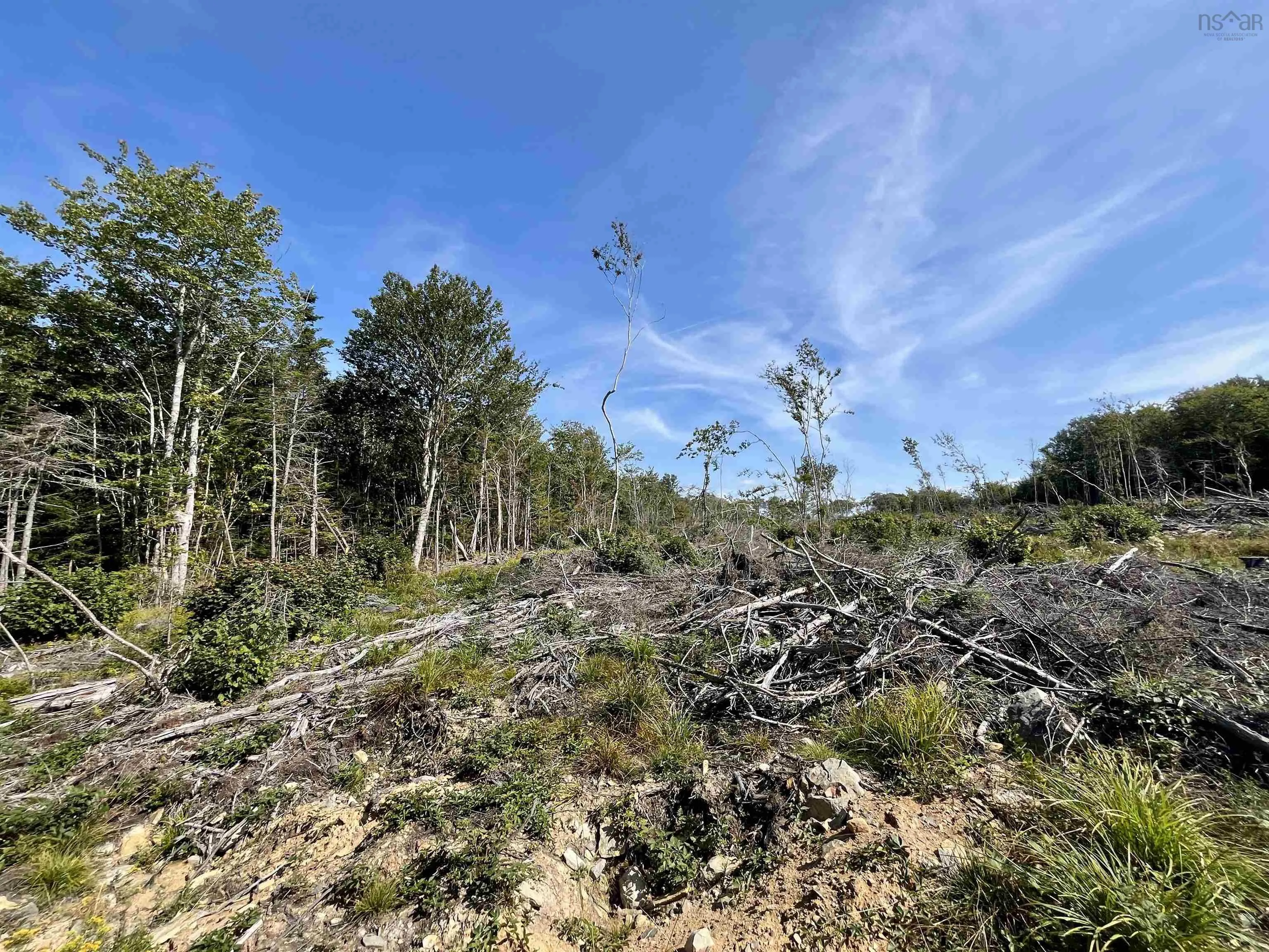 Second Division Road, Meteghan, NS B0W 2J0, ,Land,For Sale,Second Division,202522350