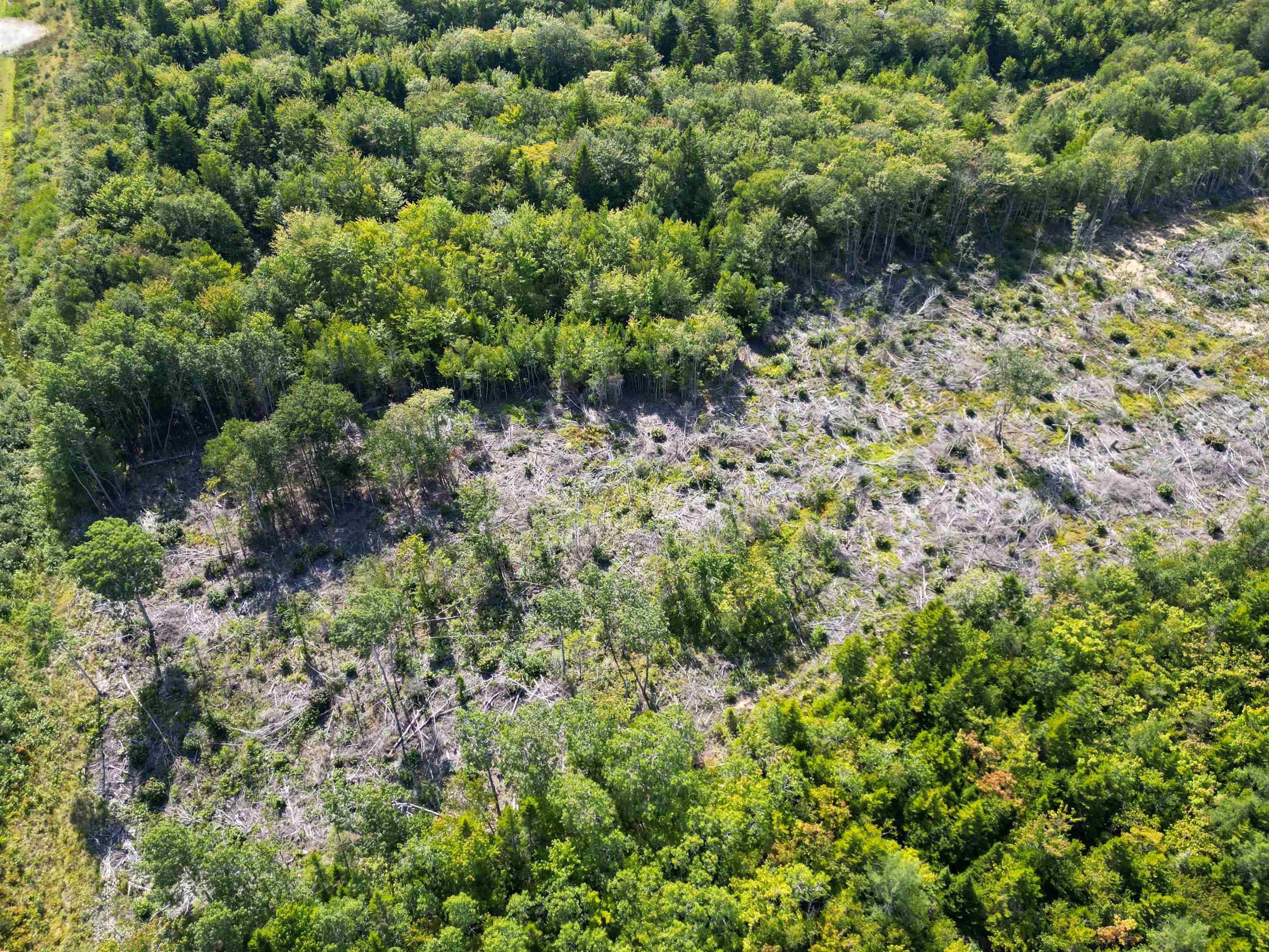 Second Division Road, Meteghan, NS B0W 2J0, ,Land,For Sale,Second Division,202522350
