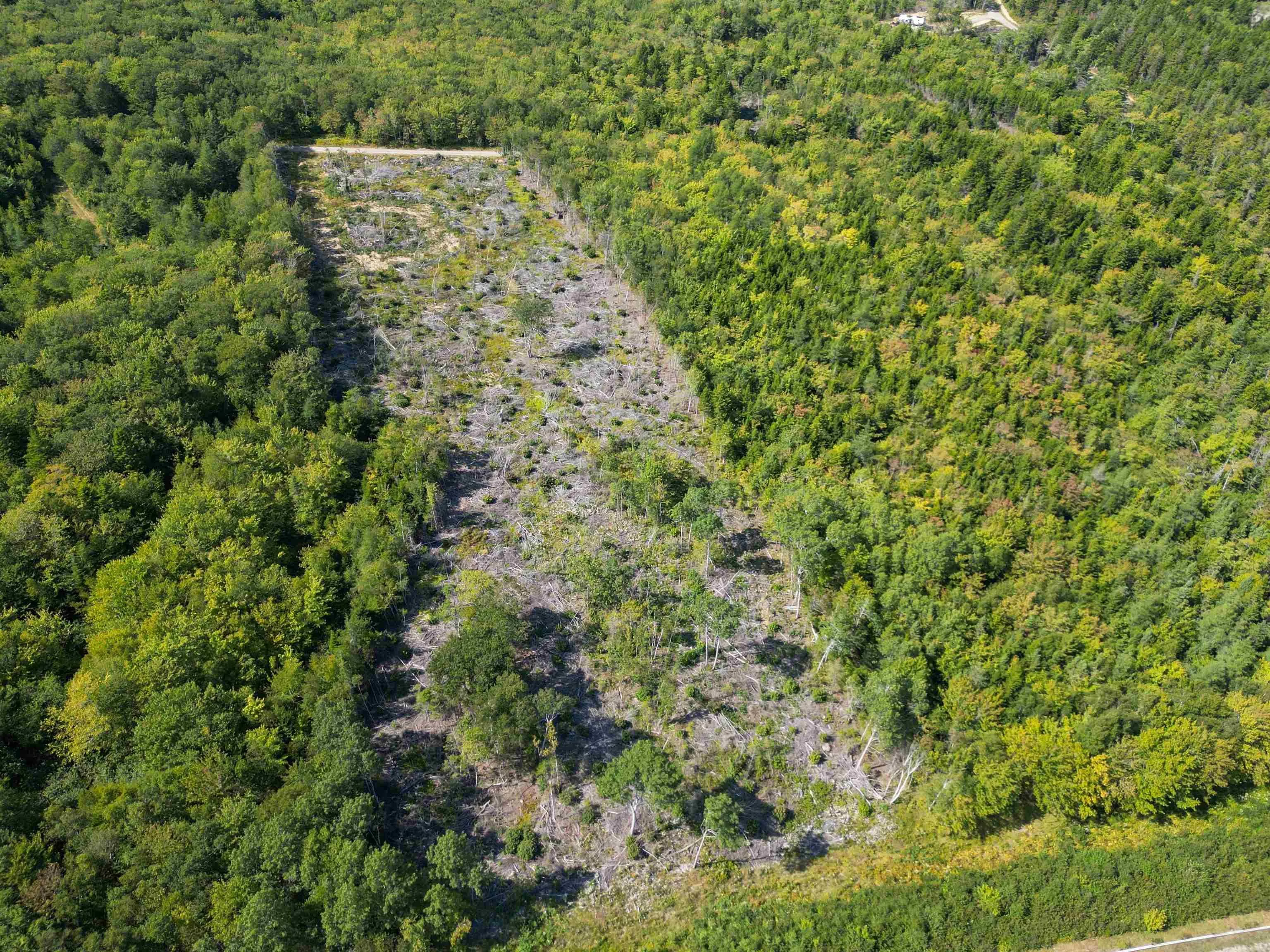 Second Division Road, Meteghan, NS B0W 2J0, ,Land,For Sale,Second Division,202522350