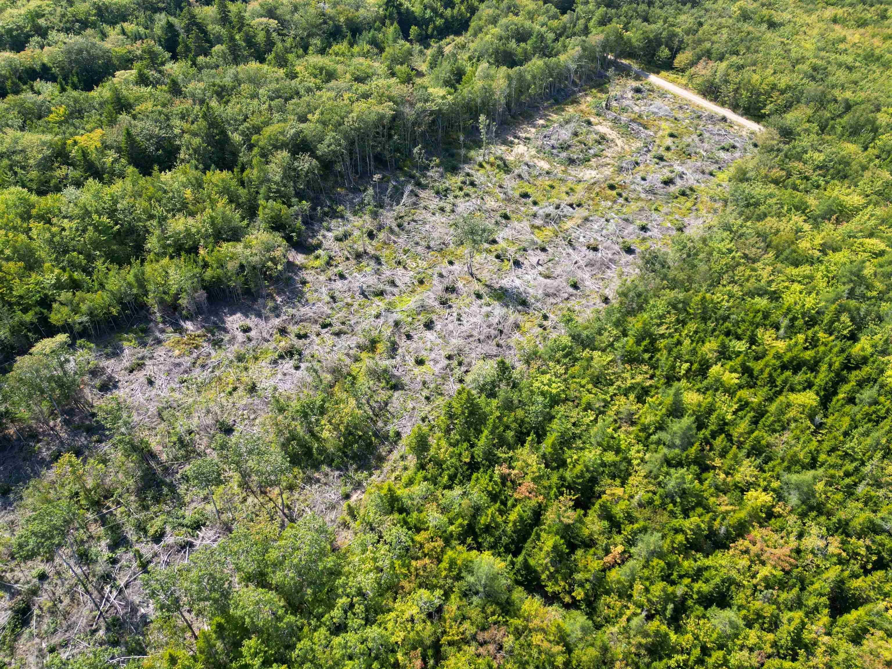 Second Division Road, Meteghan, NS B0W 2J0, ,Land,For Sale,Second Division,202522350