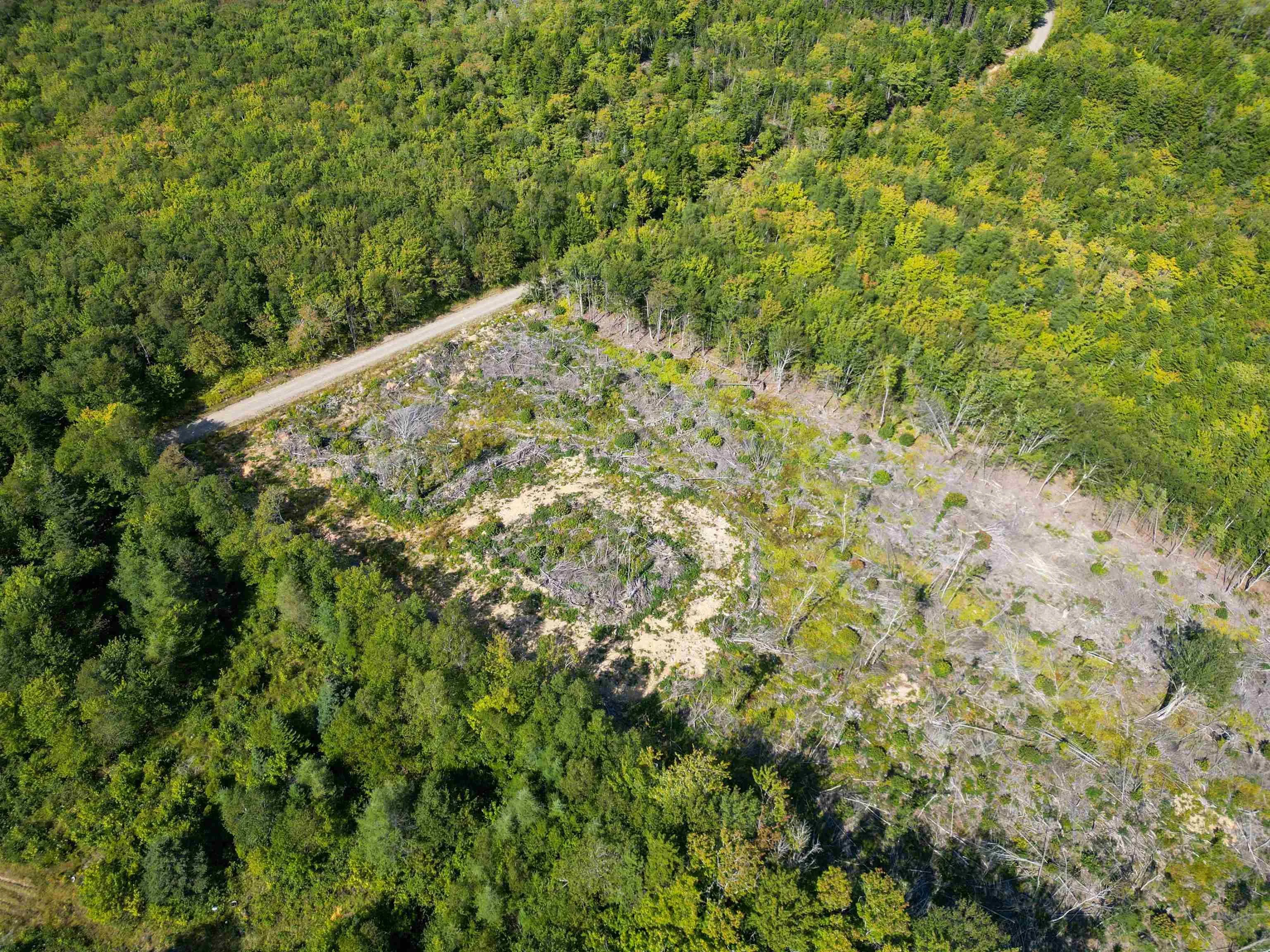 Second Division Road, Meteghan, NS B0W 2J0, ,Land,For Sale,Second Division,202522350