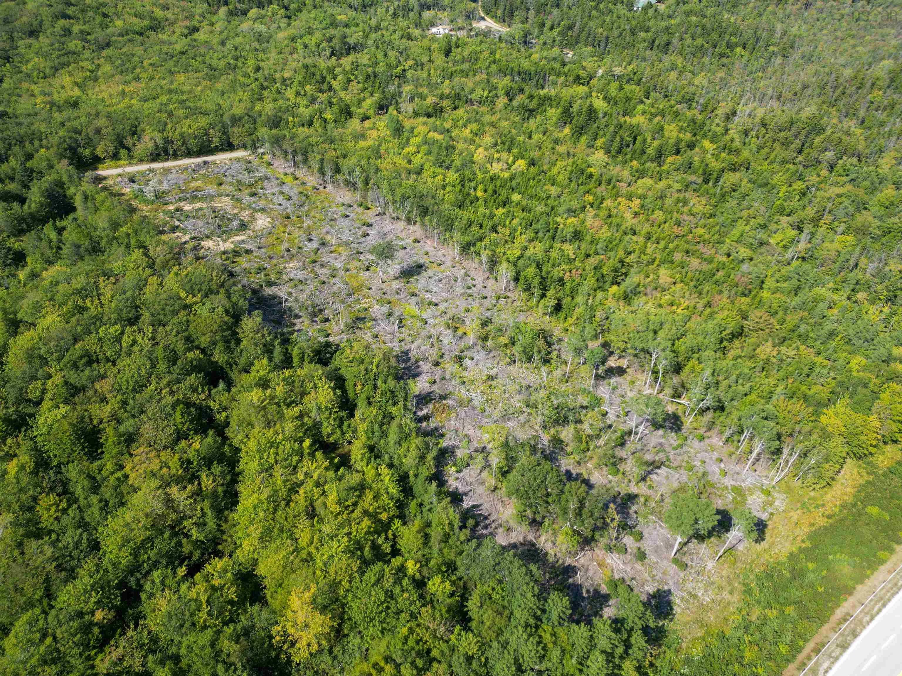 Second Division Road, Meteghan, NS B0W 2J0, ,Land,For Sale,Second Division,202522350