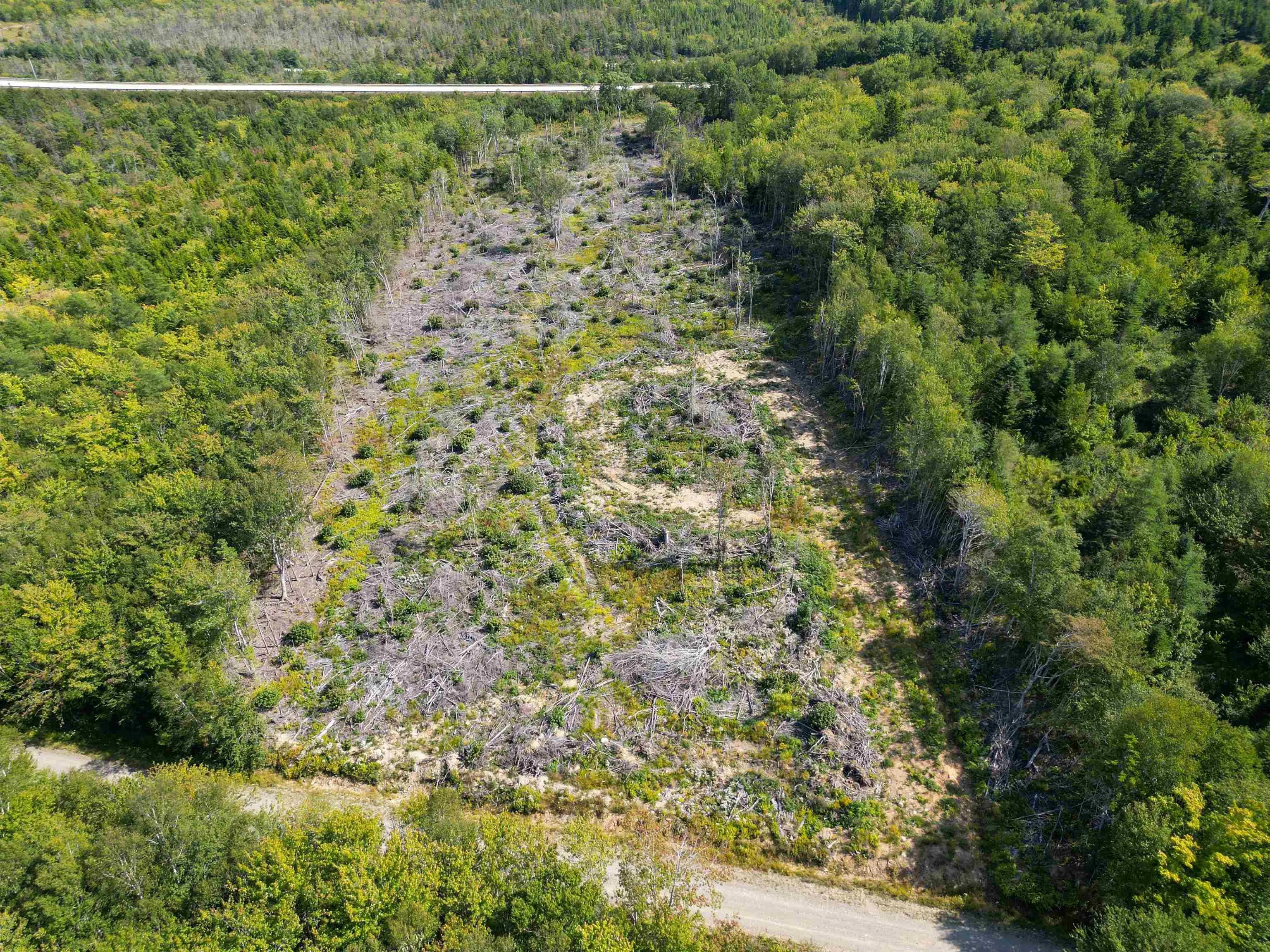 Second Division Road, Meteghan, NS B0W 2J0, ,Land,For Sale,Second Division,202522350