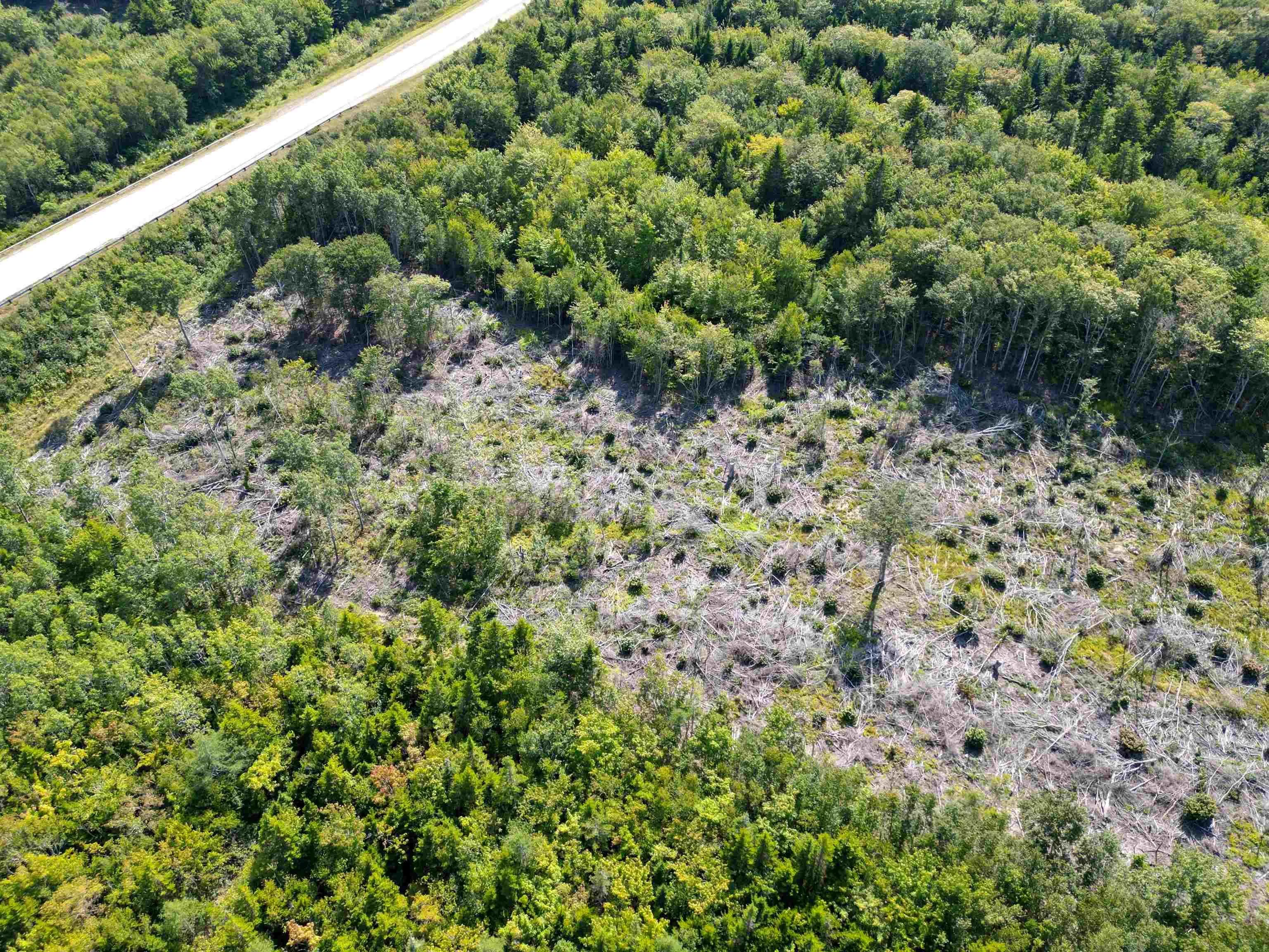 Second Division Road, Meteghan, NS B0W 2J0, ,Land,For Sale,Second Division,202522350