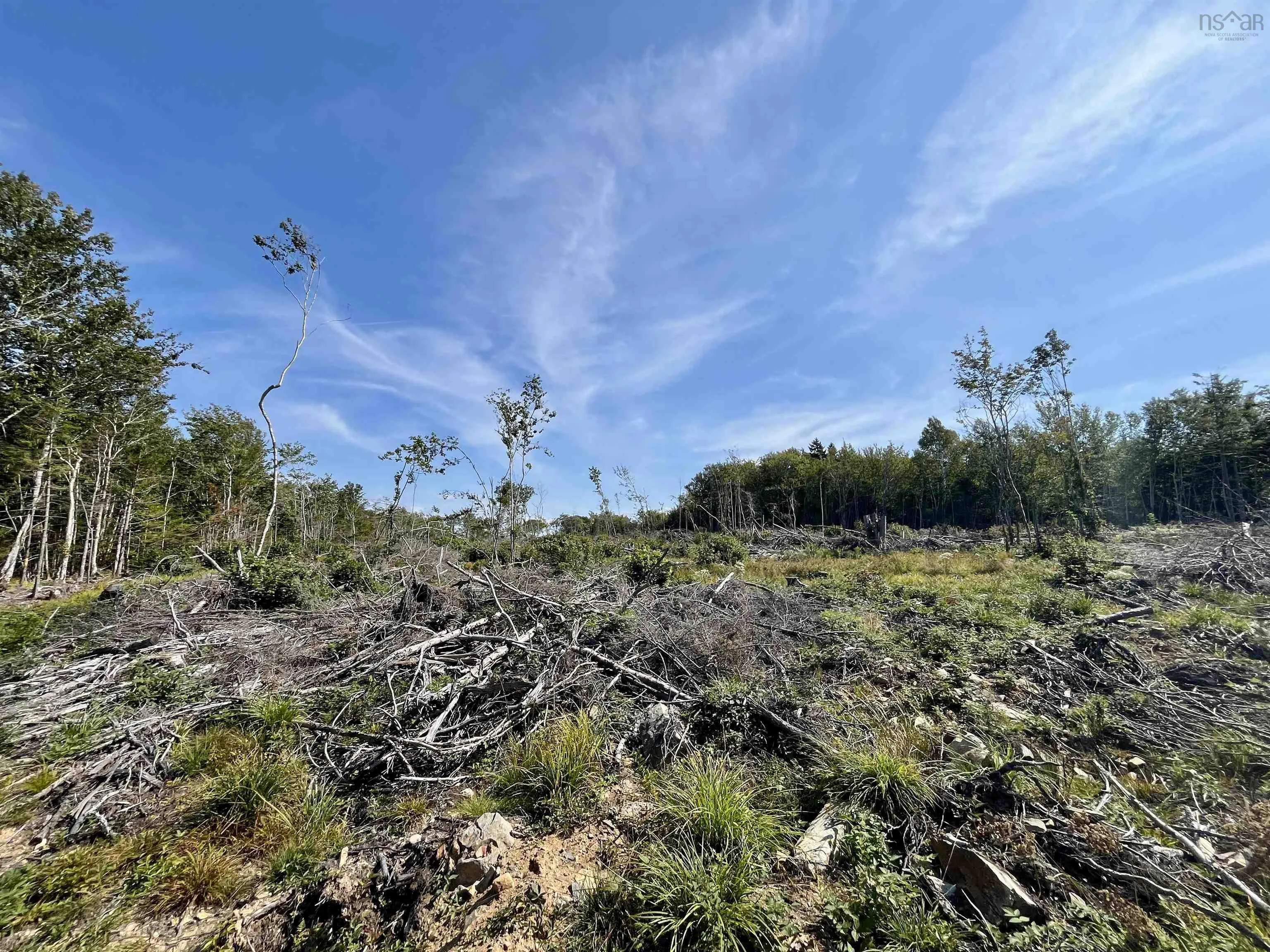 Second Division Road, Meteghan, NS B0W 2J0, ,Land,For Sale,Second Division,202522350