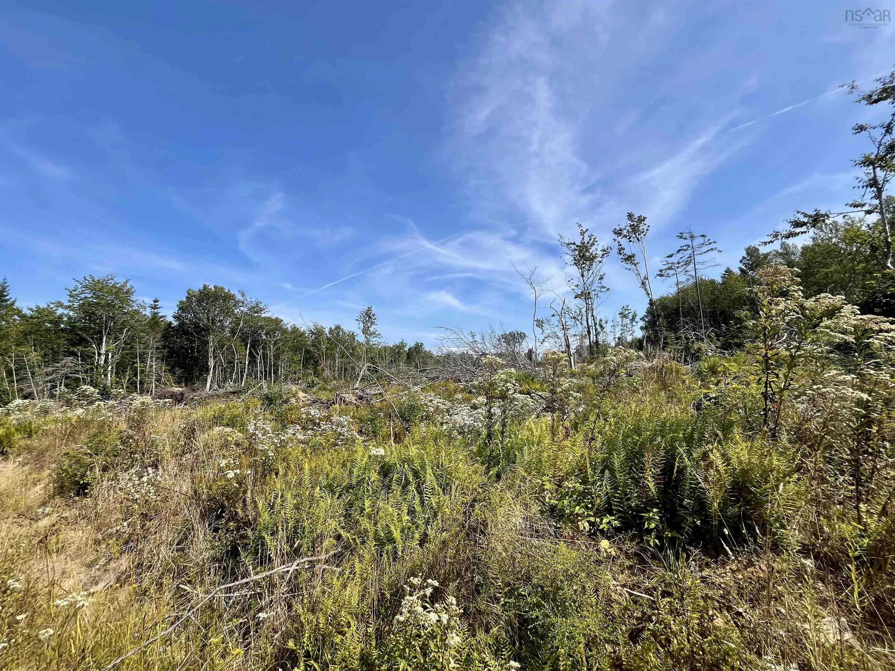 Second Division Road, Meteghan, NS B0W 2J0, ,Land,For Sale,Second Division,202522350