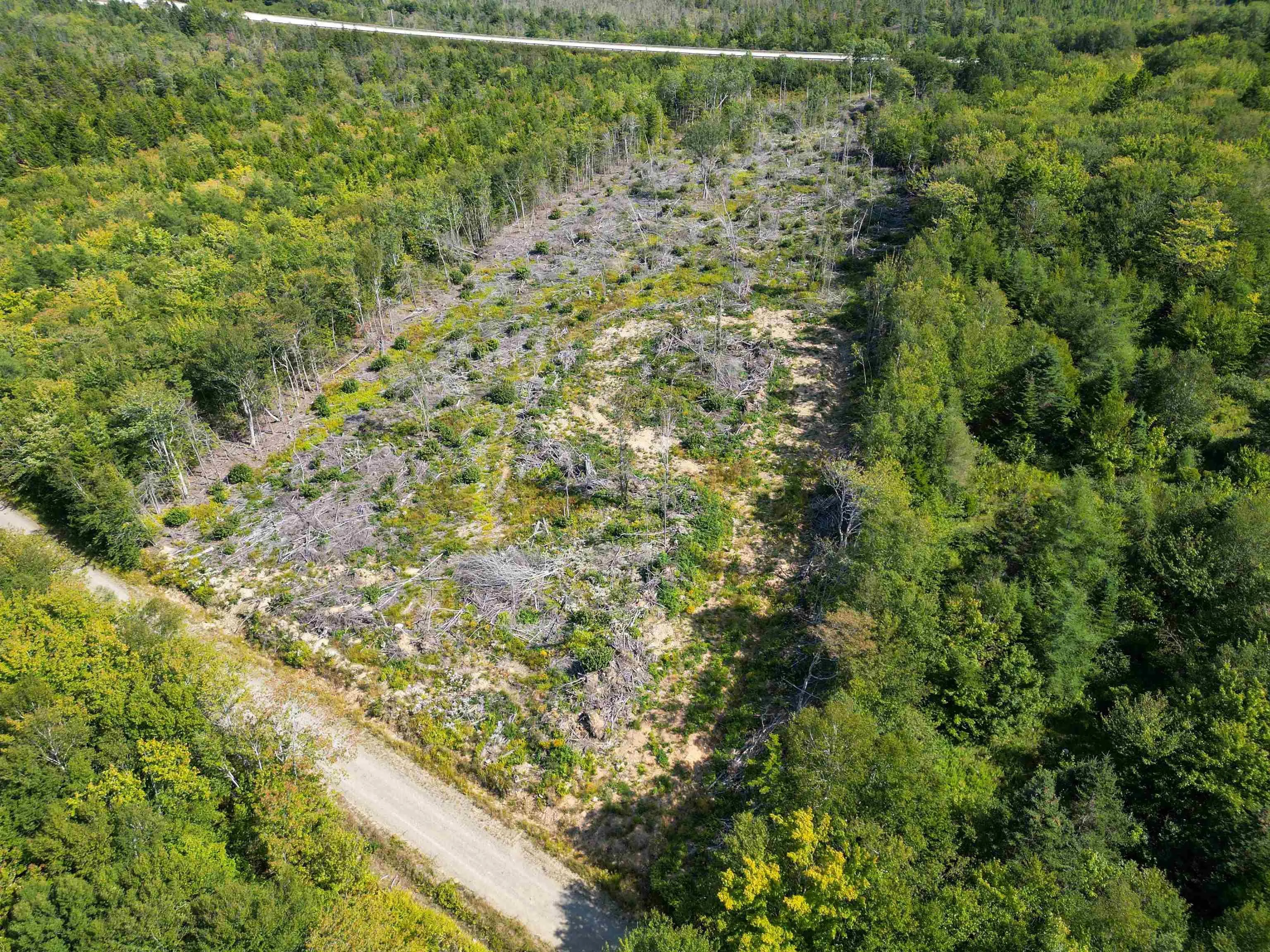 Second Division Road, Meteghan, NS B0W 2J0, ,Land,For Sale,Second Division,202522350