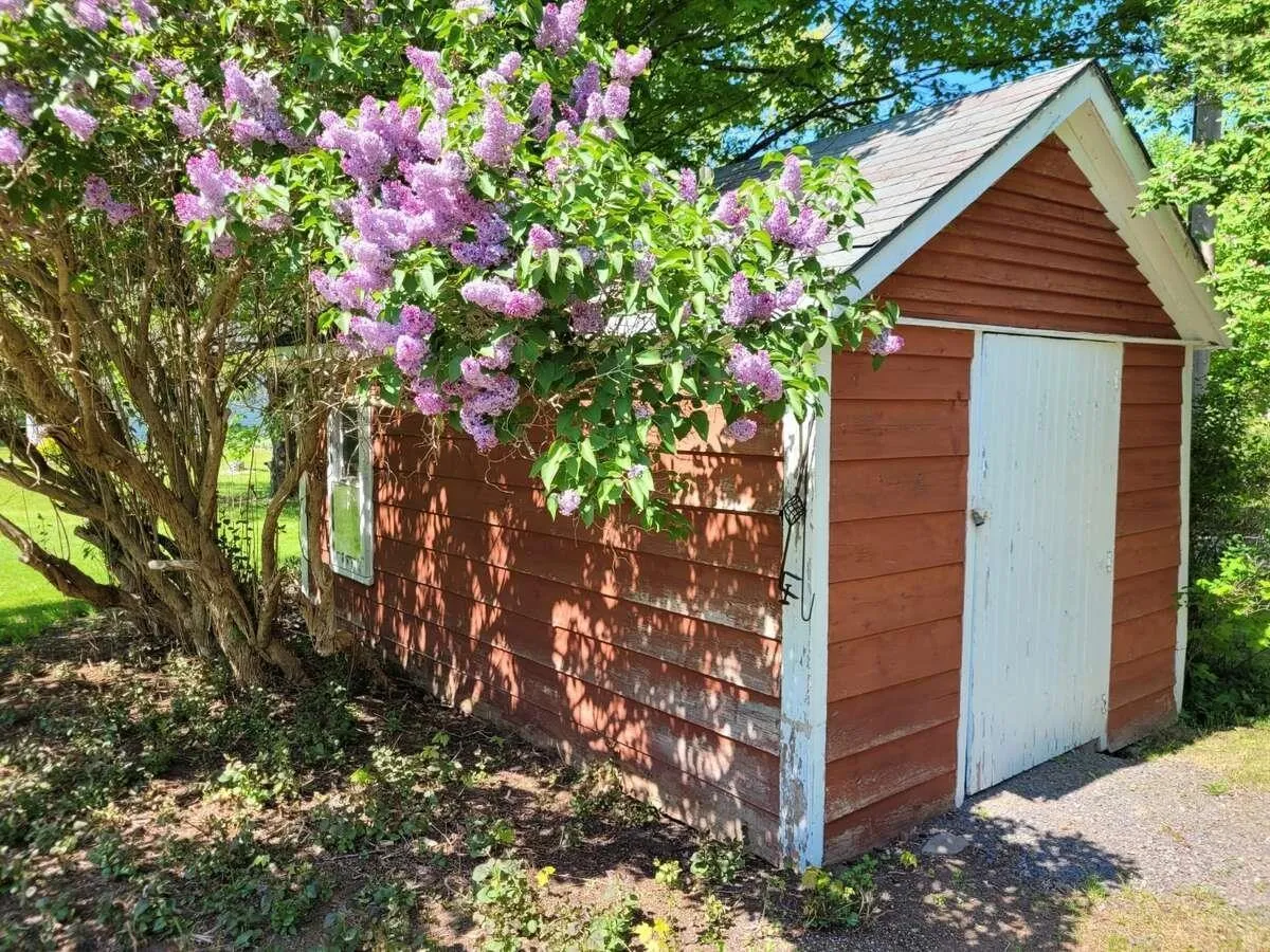 2515 Evangeline Trail, Aylesford, NS B0P 1C0, 3 Bedrooms Bedrooms, ,1 BathroomBathrooms,Residential,For Sale,Evangeline,202517622