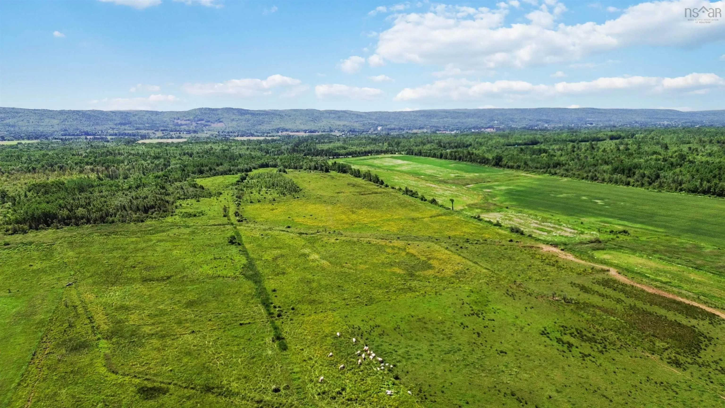 Clarence Road, Clarence, NS B0S 1C0, ,Land,For Sale,Clarence,202514267