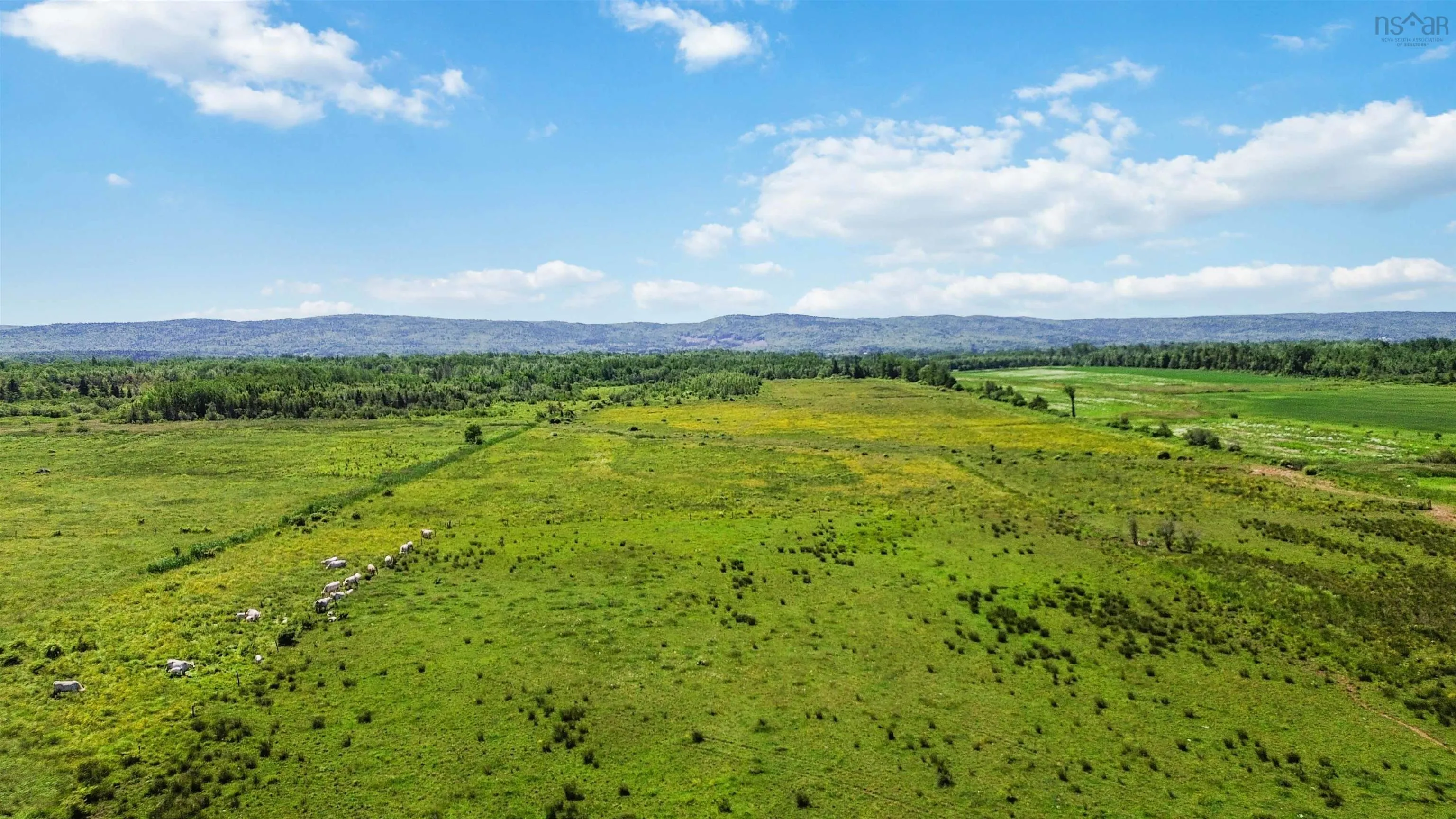 Clarence Road, Clarence, NS B0S 1C0, ,Land,For Sale,Clarence,202514267