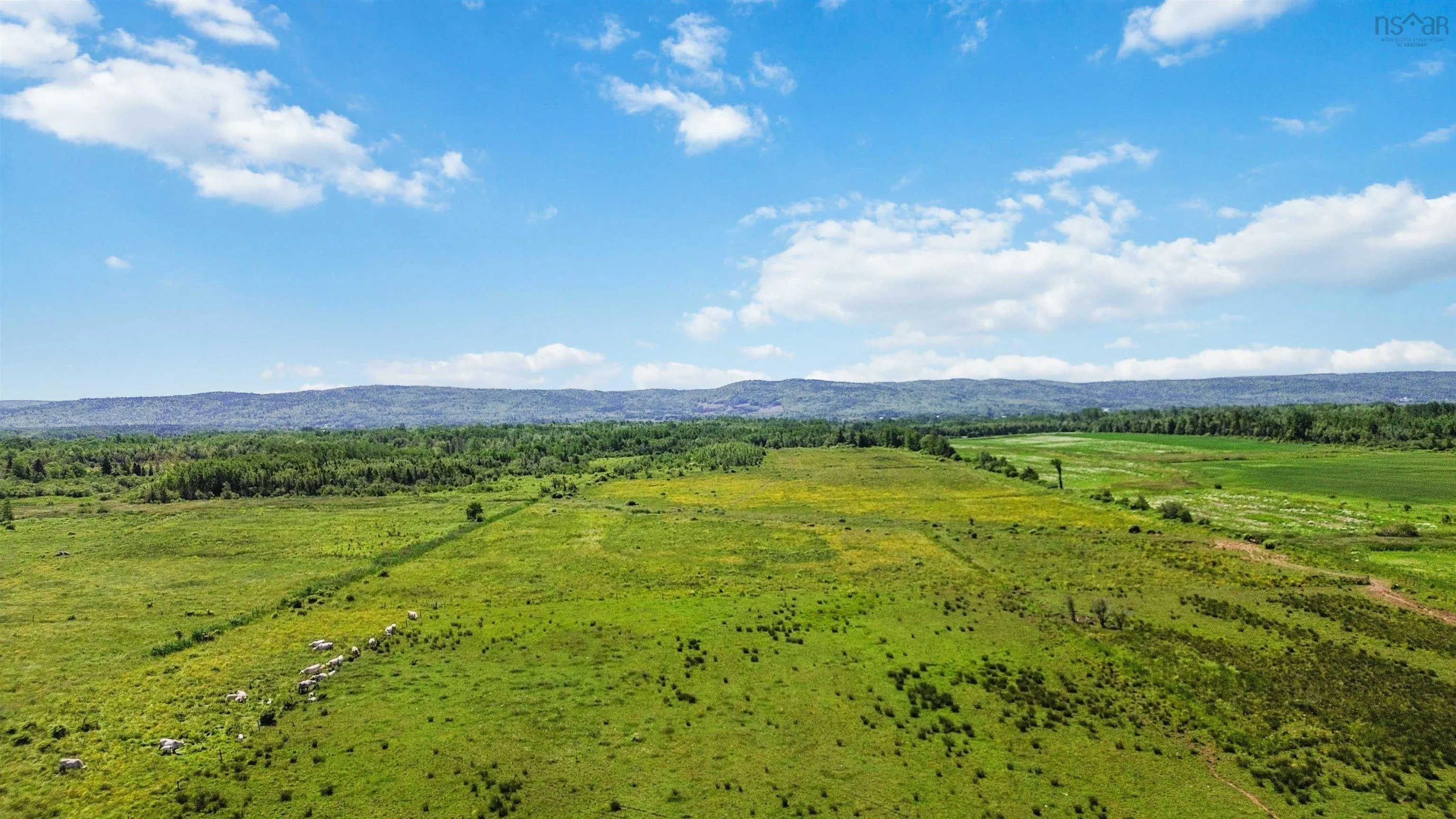 Clarence Road, Clarence, NS B0S 1C0, ,Land,For Sale,Clarence,202514267