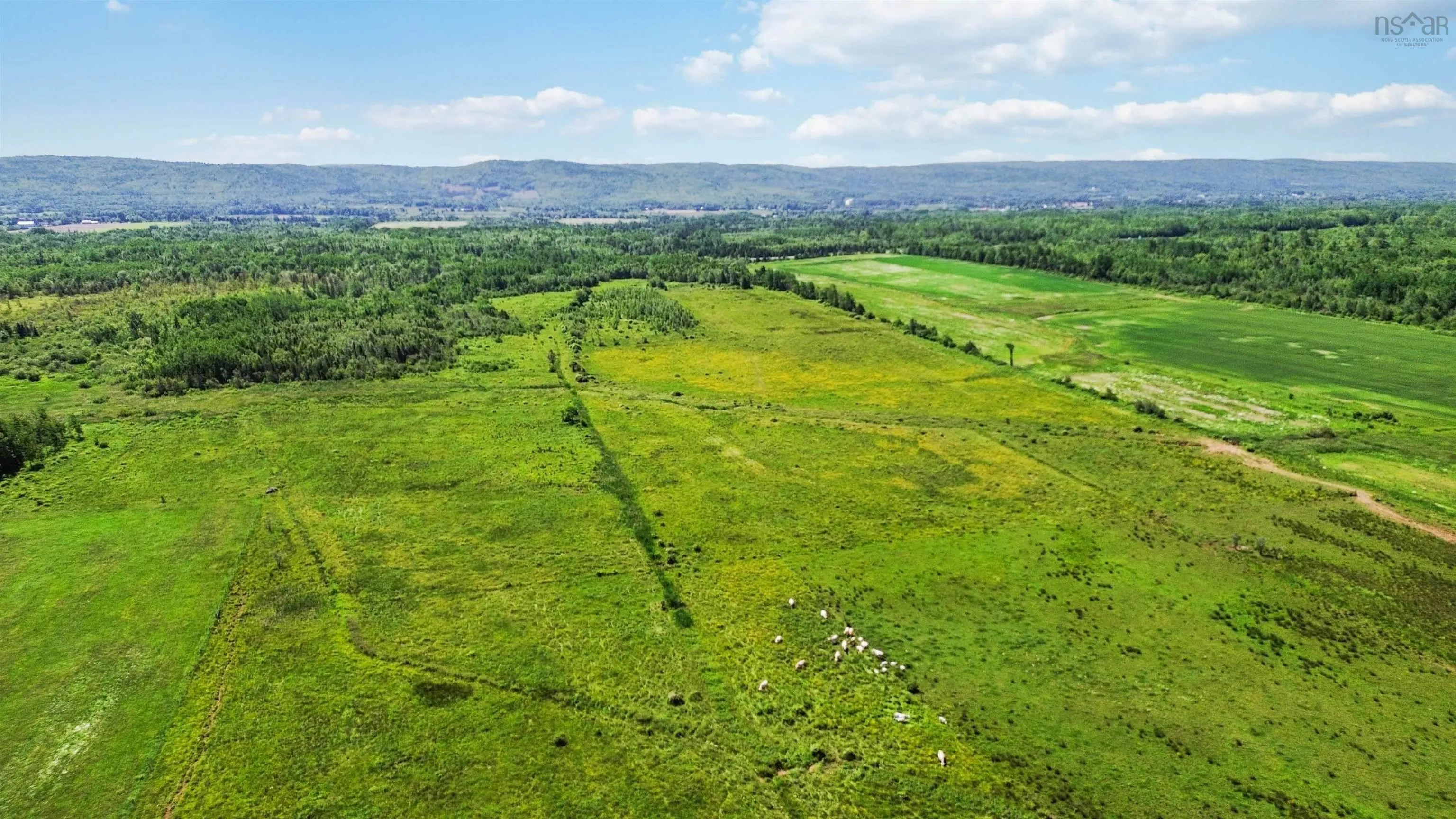 Clarence Road, Clarence, NS B0S 1C0, ,Land,For Sale,Clarence,202514267