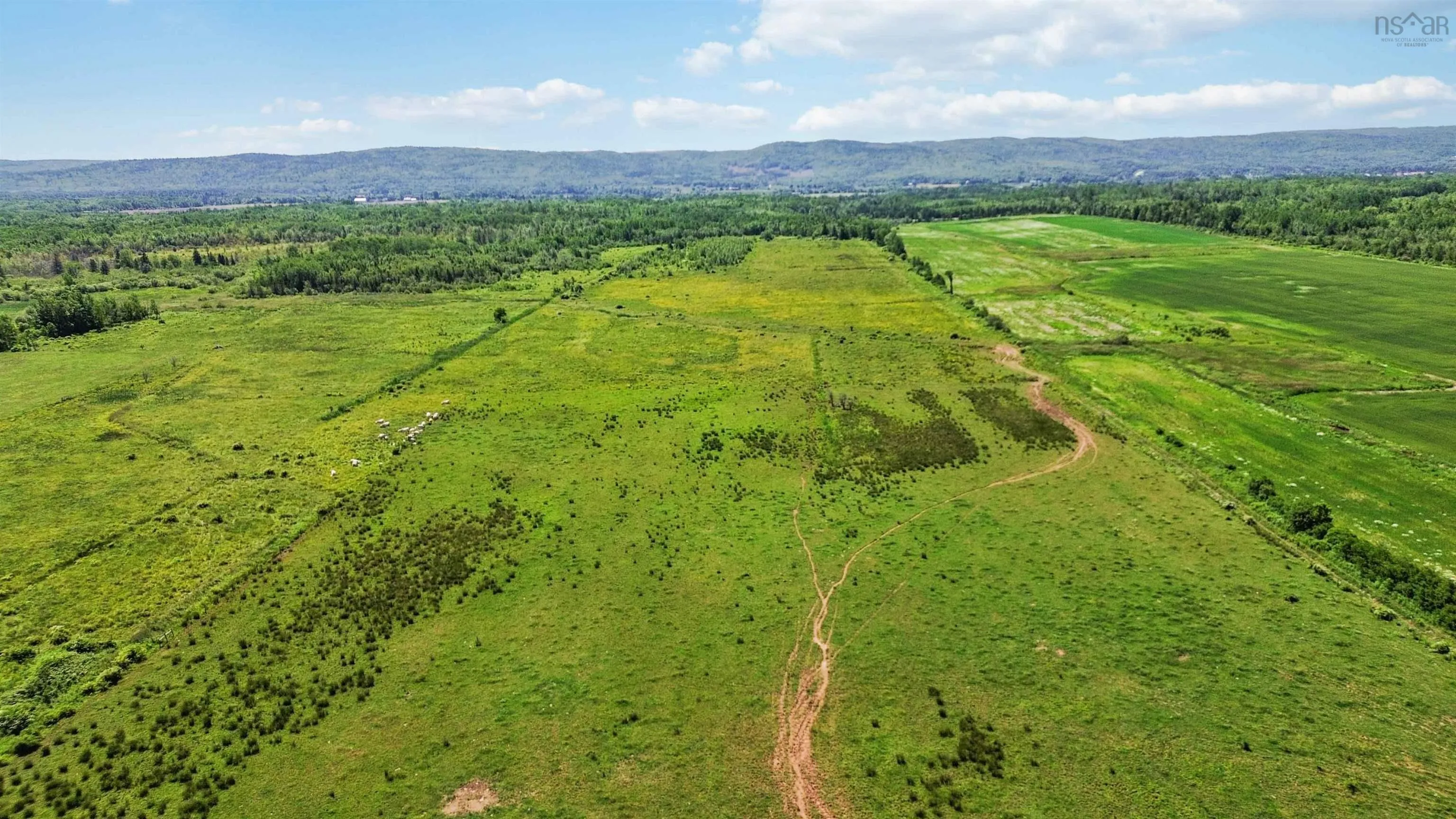 Clarence Road, Clarence, NS B0S 1C0, ,Land,For Sale,Clarence,202514267