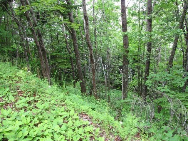 Bayview Shore Road, Bay View, NS B0V 1A0, ,Land,For Sale,Bayview Shore,202521277