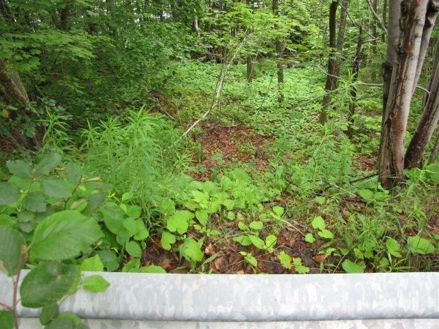 Bayview Shore Road, Bay View, NS B0V 1A0, ,Land,For Sale,Bayview Shore,202521277