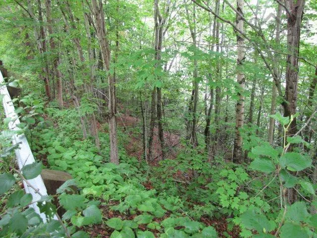 Bayview Shore Road, Bay View, NS B0V 1A0, ,Land,For Sale,Bayview Shore,202521277