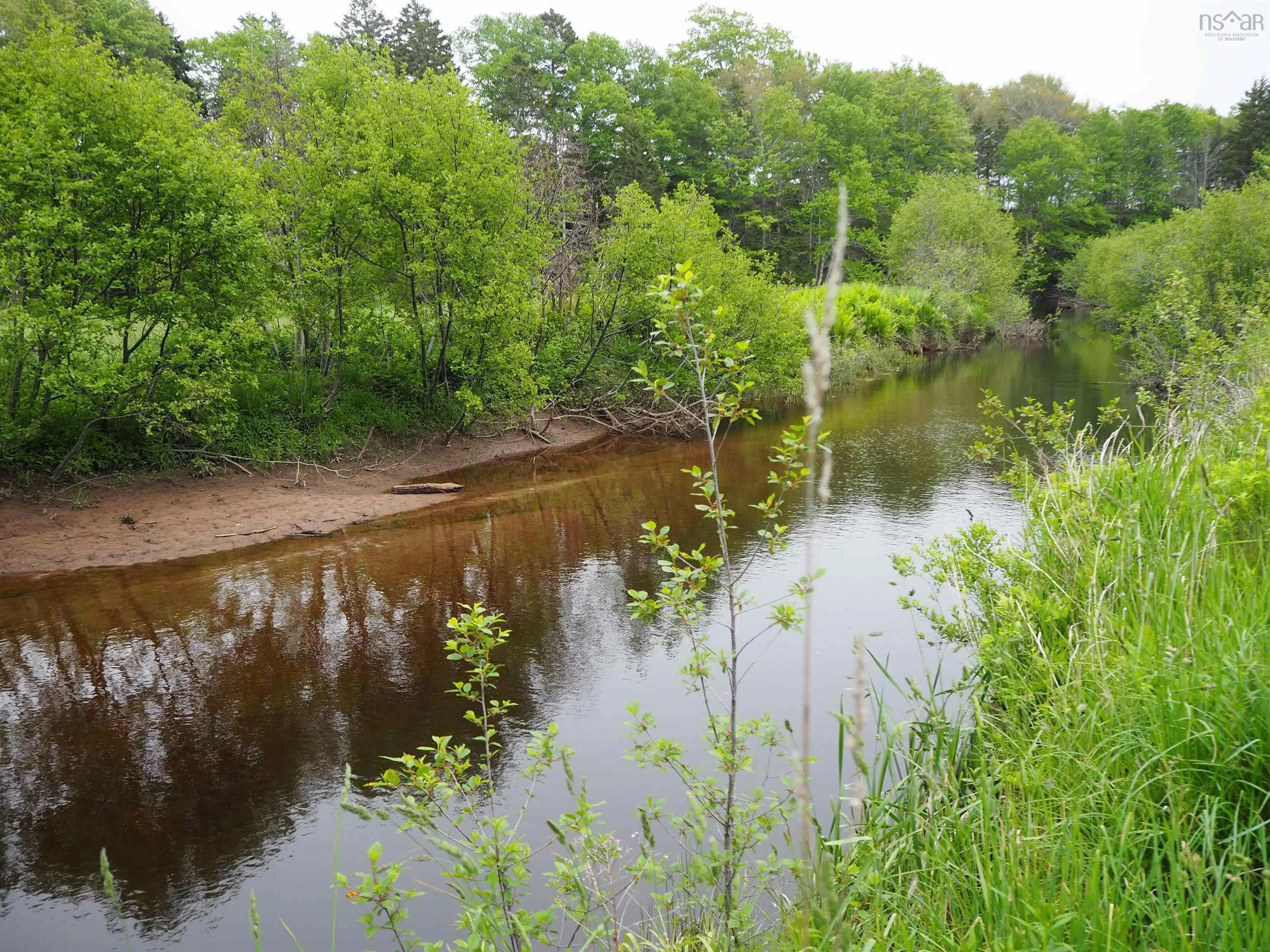 Middle Crossing Road, Marshalltown Ns B0v 1a0, ,Land,For Sale,Middle Crossing,202405885