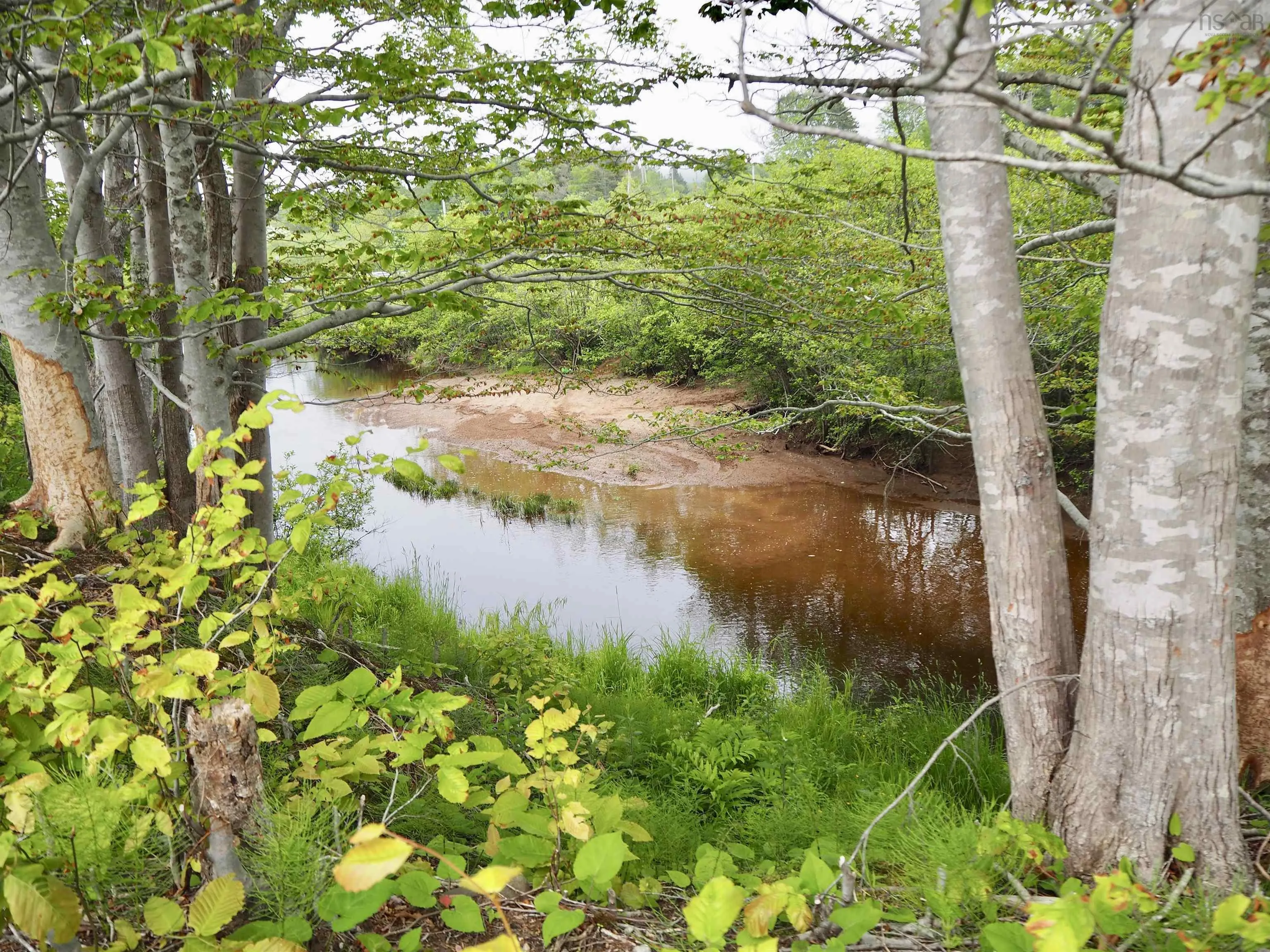 Middle Crossing Road, Marshalltown Ns B0v 1a0, ,Land,For Sale,Middle Crossing,202405885