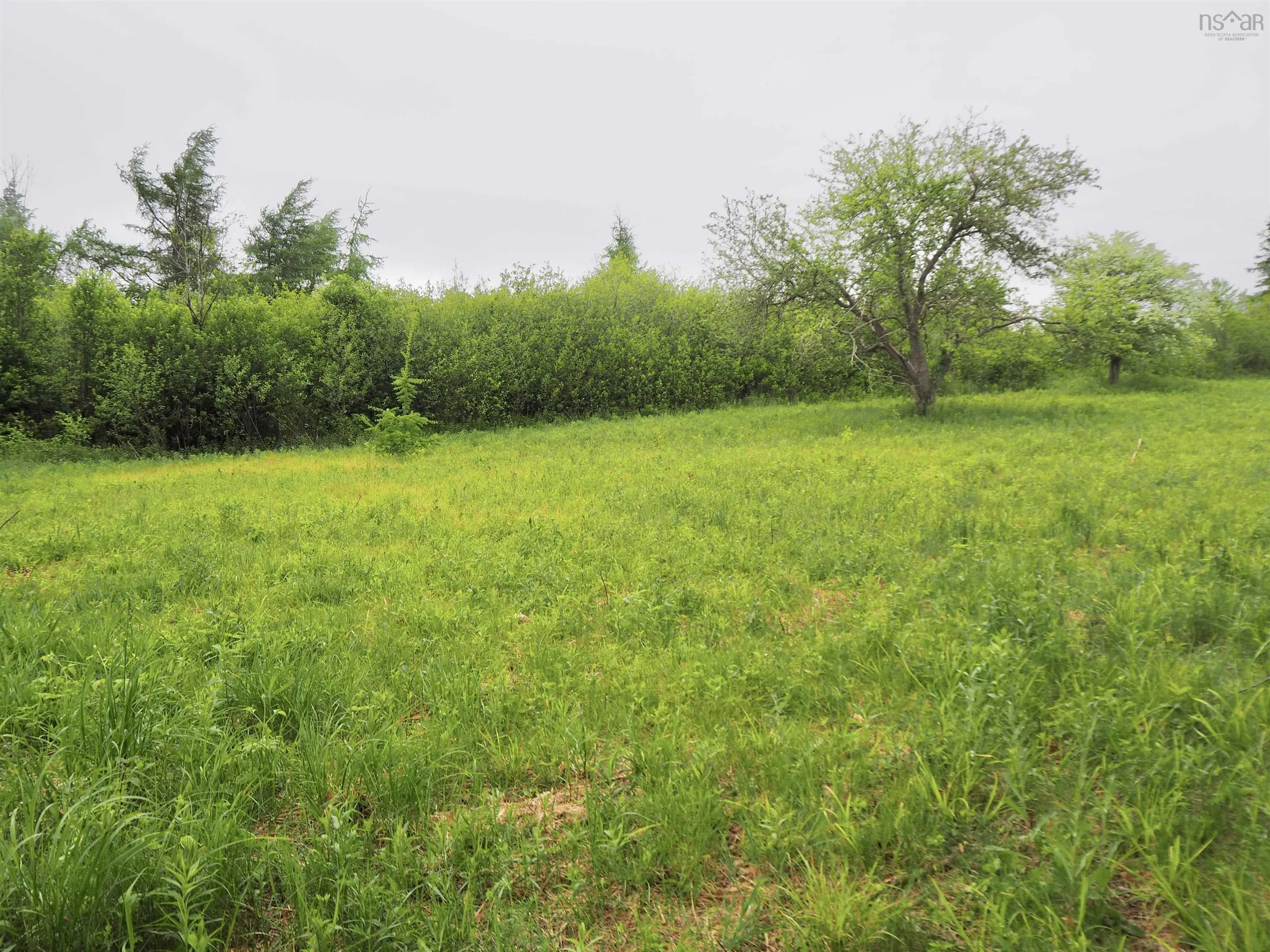 Middle Crossing Road, Marshalltown Ns B0v 1a0, ,Land,For Sale,Middle Crossing,202405885