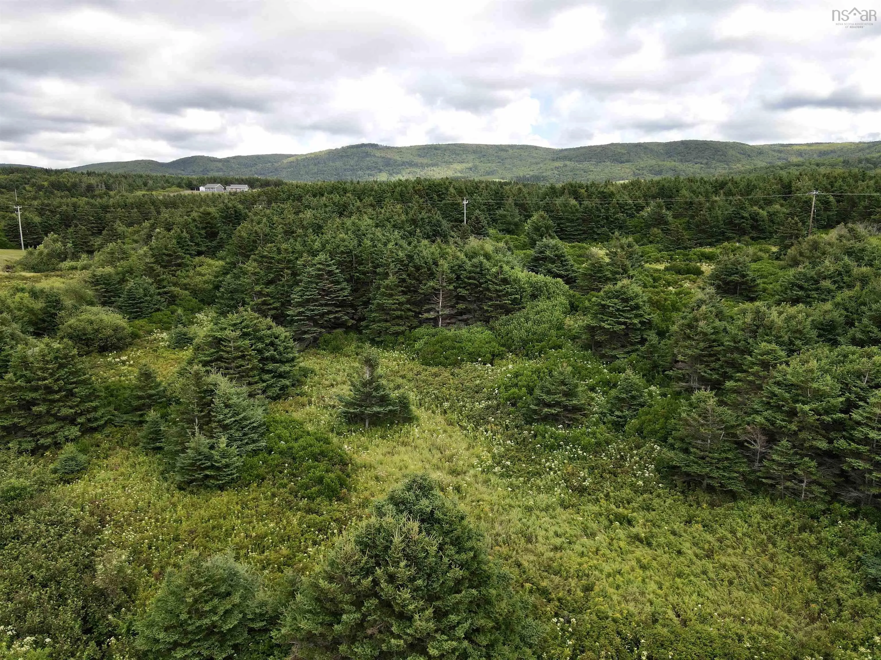 2 Cabot Trail, Terre Noire, NS B0E 1Y0, ,Land,For Sale,Cabot,202523091