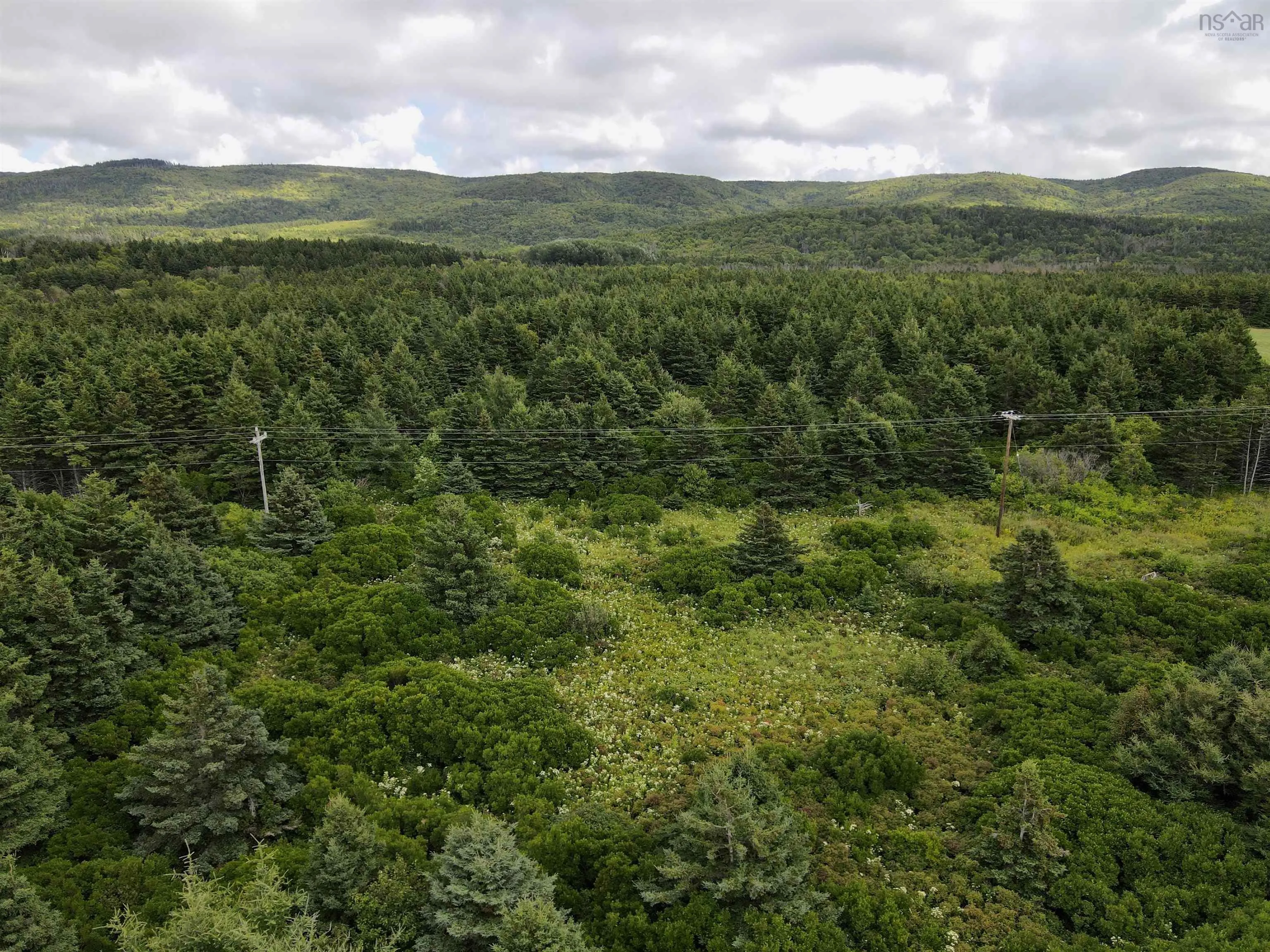 2 Cabot Trail, Terre Noire, NS B0E 1Y0, ,Land,For Sale,Cabot,202523091