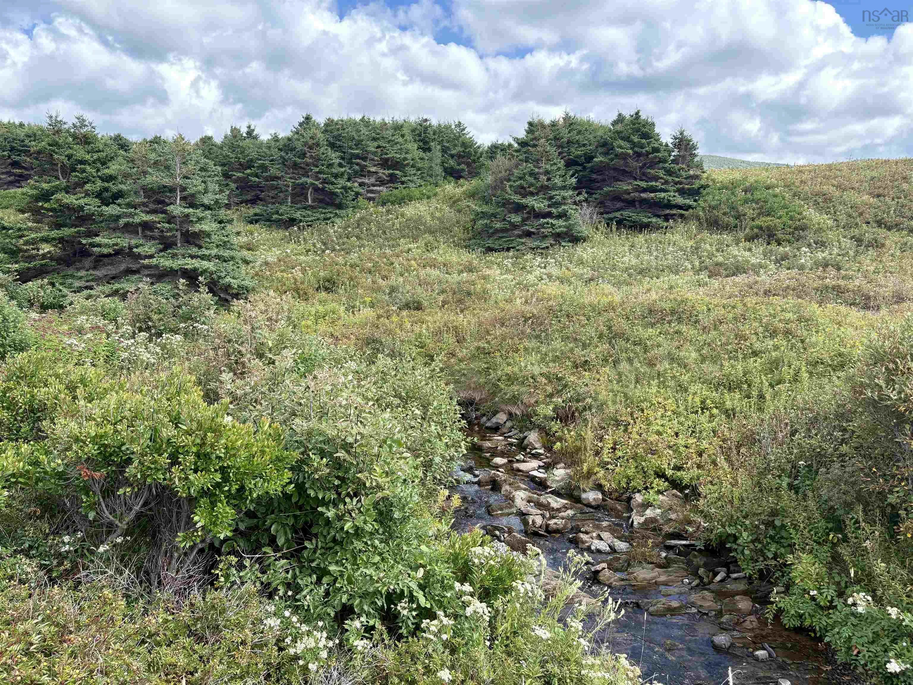 2 Cabot Trail, Terre Noire, NS B0E 1Y0, ,Land,For Sale,Cabot,202523091
