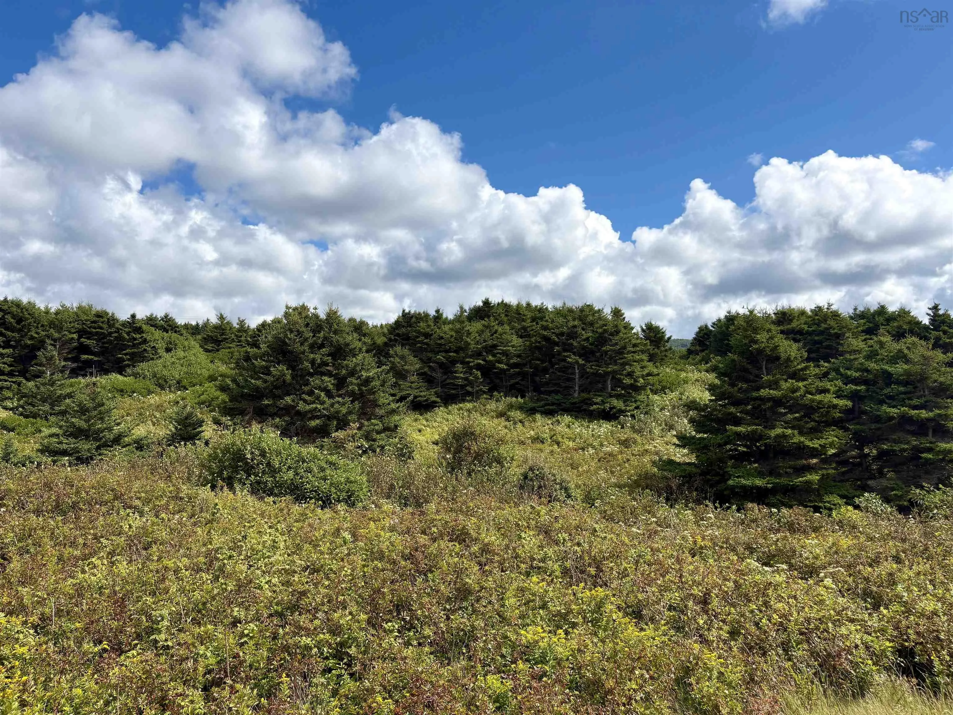2 Cabot Trail, Terre Noire, NS B0E 1Y0, ,Land,For Sale,Cabot,202523091