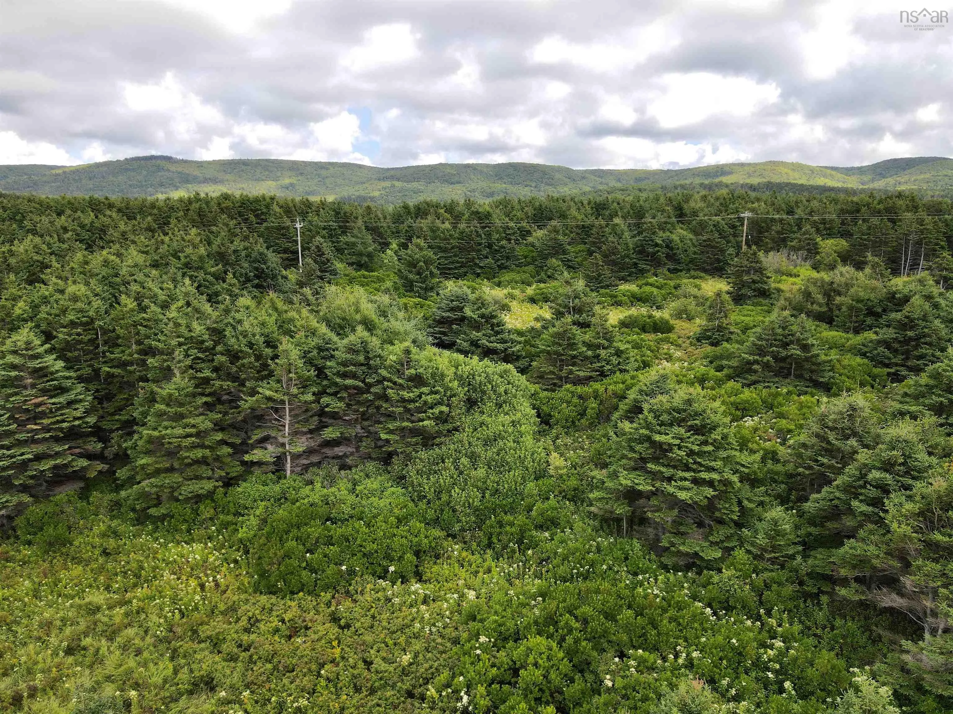 2 Cabot Trail, Terre Noire, NS B0E 1Y0, ,Land,For Sale,Cabot,202523091