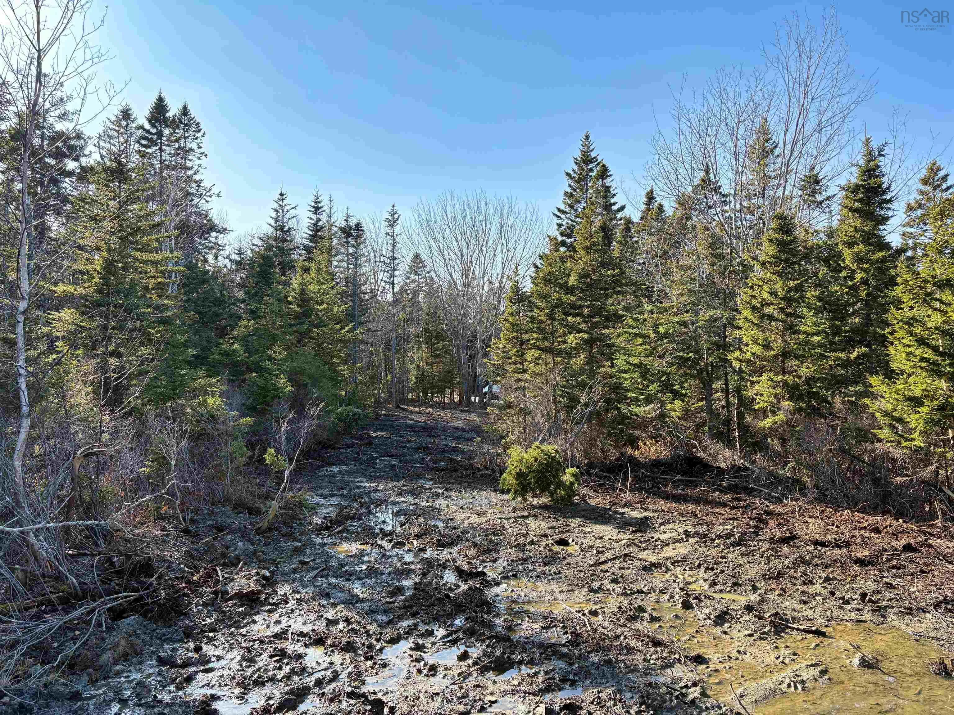 Upper Kingsburg Road, Rose Bay, NS B0J 2X0, ,Land,For Sale,Upper Kingsburg,202519601