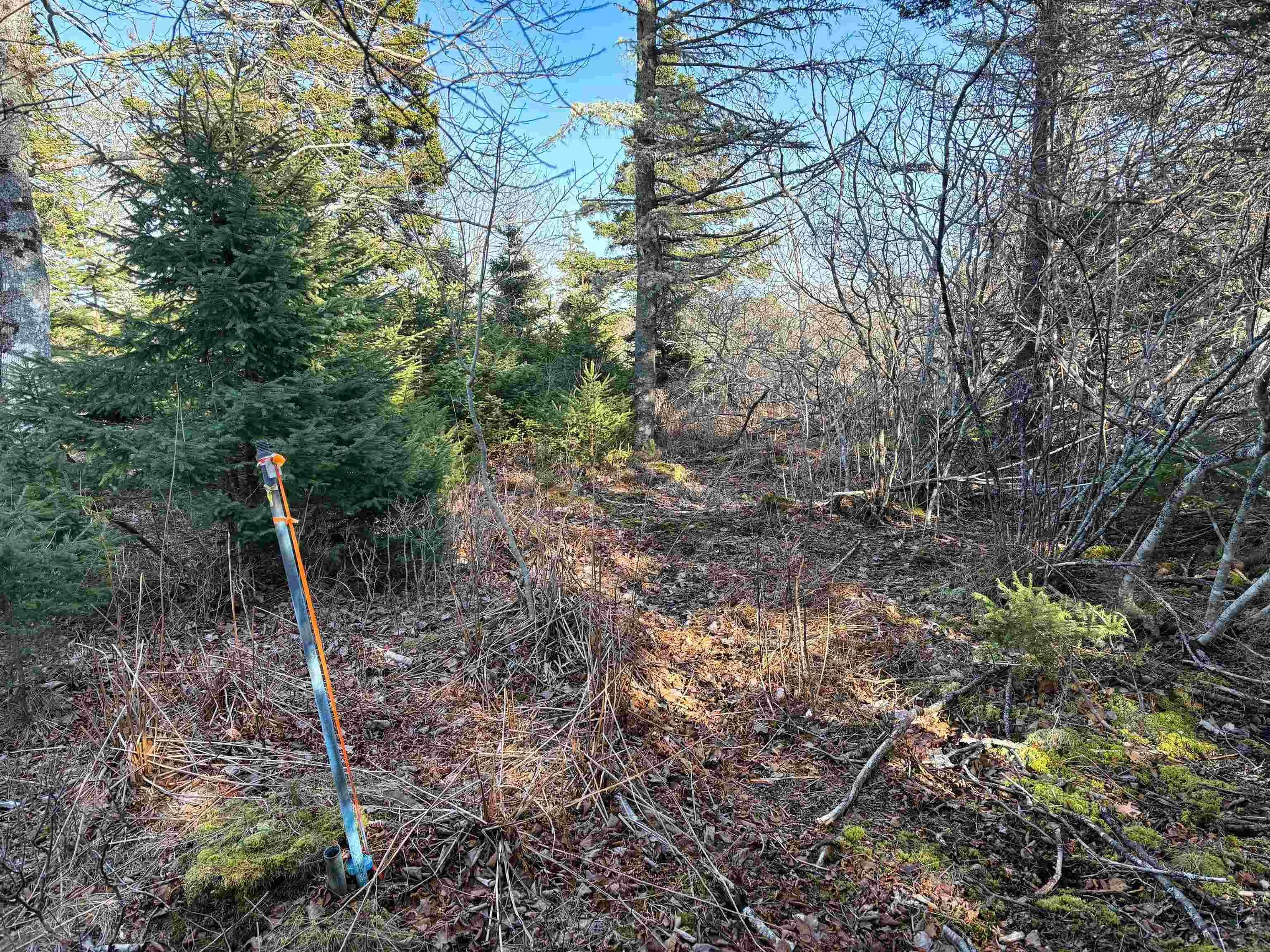 Upper Kingsburg Road, Rose Bay, NS B0J 2X0, ,Land,For Sale,Upper Kingsburg,202519601