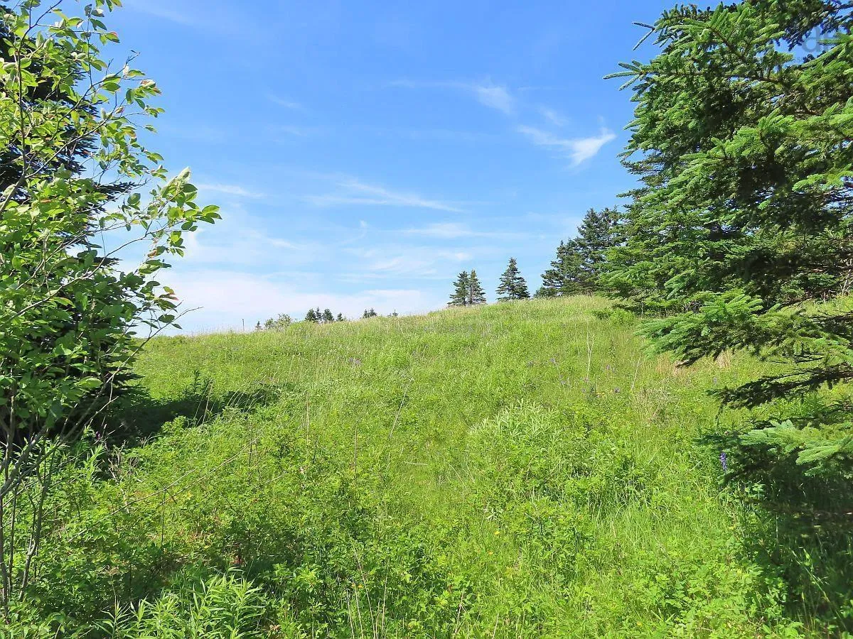 Lot 4 Highway 4, Soldiers Cove Ns B0e 3b0, ,Land,For Sale,Highway 4,202403879