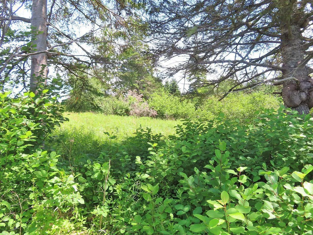 Lot 4 Highway 4, Soldiers Cove Ns B0e 3b0, ,Land,For Sale,Highway 4,202403879