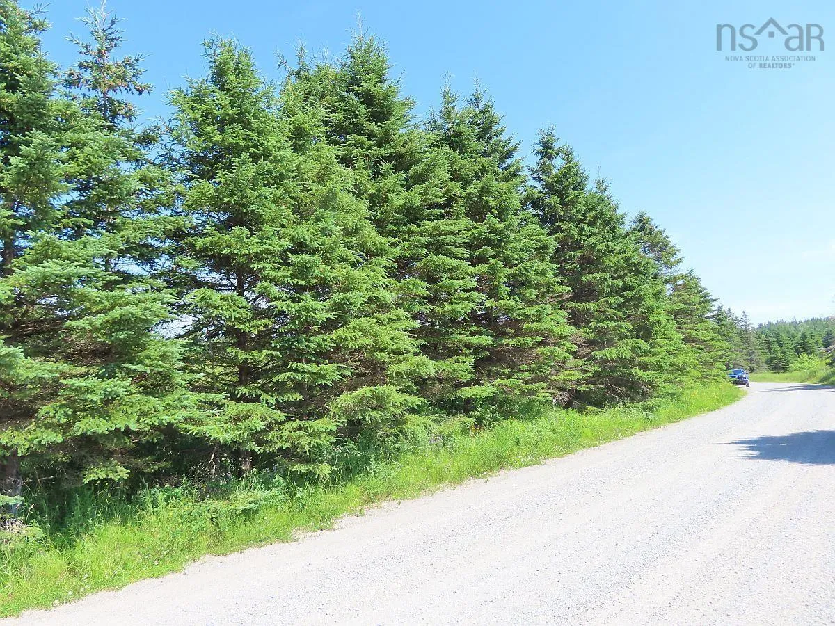 Lot 4 Highway 4, Soldiers Cove Ns B0e 3b0, ,Land,For Sale,Highway 4,202403879