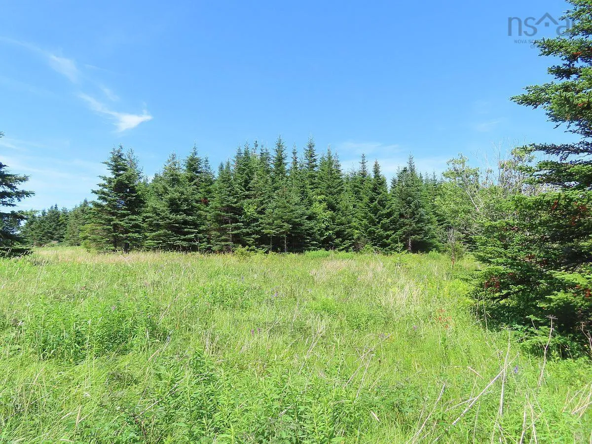 Lot 4 Highway 4, Soldiers Cove Ns B0e 3b0, ,Land,For Sale,Highway 4,202403879