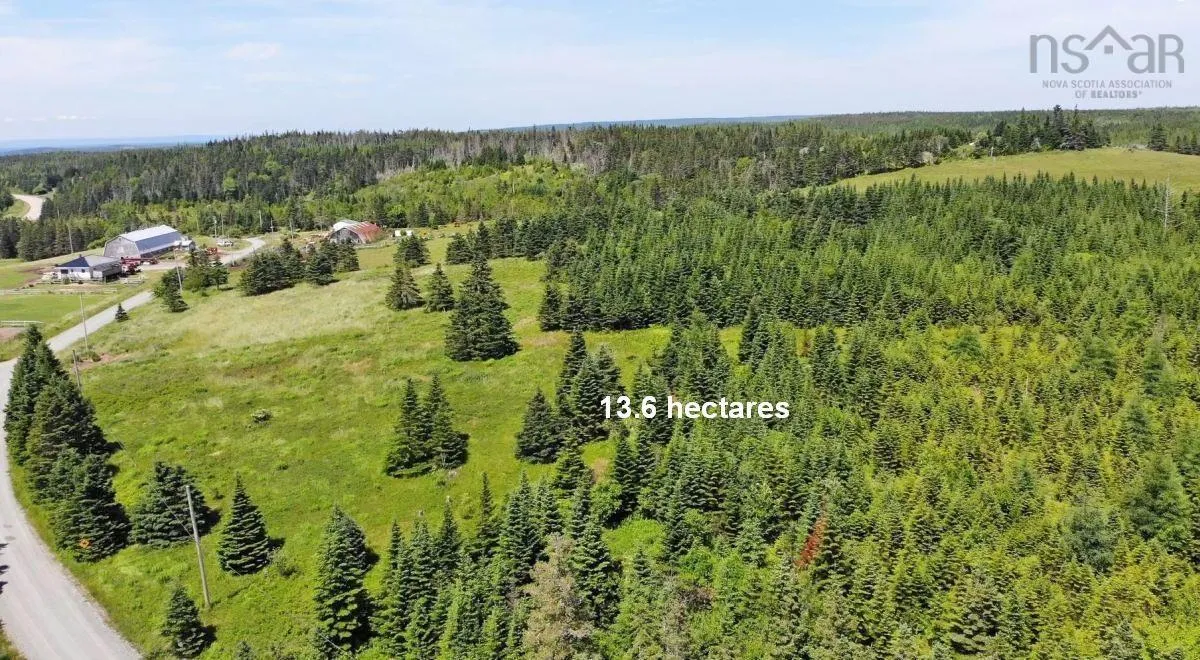 Lot 4 Highway 4, Soldiers Cove Ns B0e 3b0, ,Land,For Sale,Highway 4,202403879