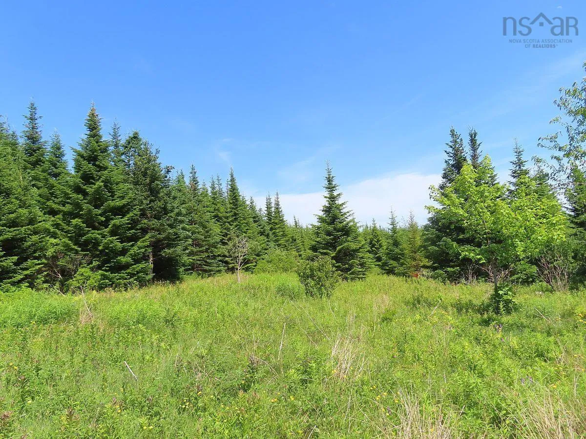 Lot 4 Highway 4, Soldiers Cove Ns B0e 3b0, ,Land,For Sale,Highway 4,202403879