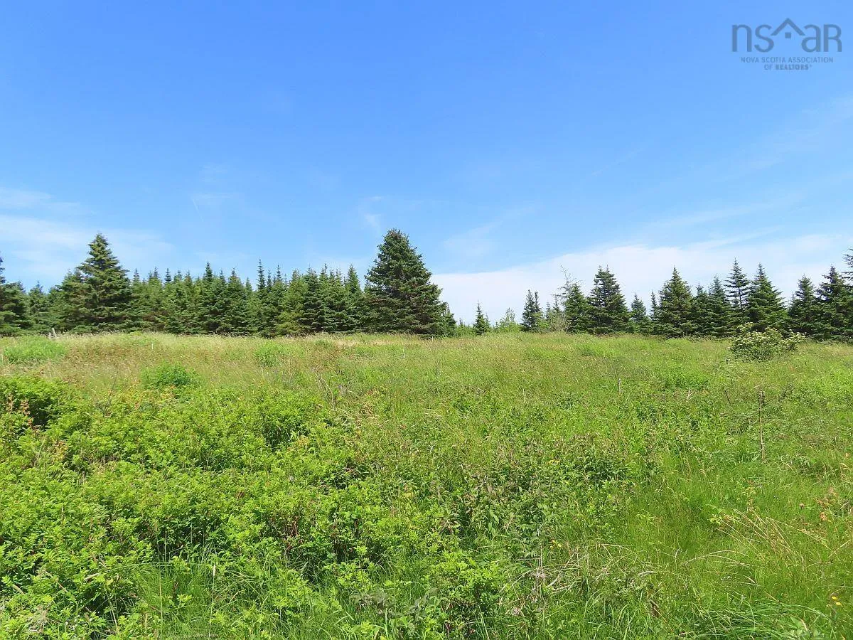 Lot 4 Highway 4, Soldiers Cove Ns B0e 3b0, ,Land,For Sale,Highway 4,202403879