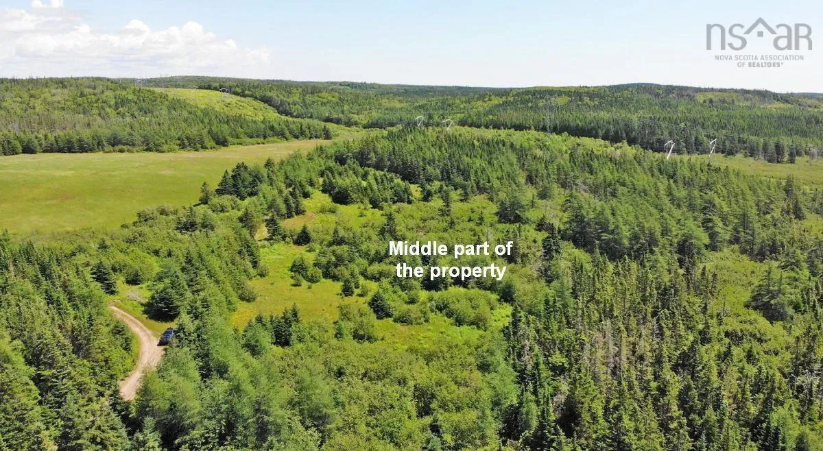Lot 4 Highway 4, Soldiers Cove Ns B0e 3b0, ,Land,For Sale,Highway 4,202403879