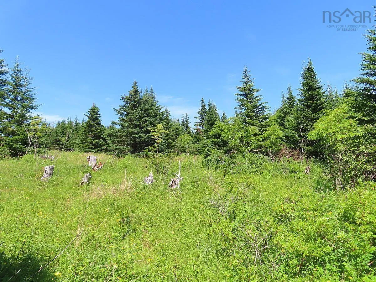 Lot 4 Highway 4, Soldiers Cove Ns B0e 3b0, ,Land,For Sale,Highway 4,202403879