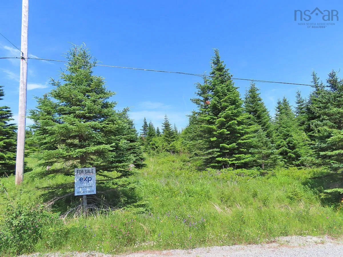 Lot 4 Highway 4, Soldiers Cove Ns B0e 3b0, ,Land,For Sale,Highway 4,202403879