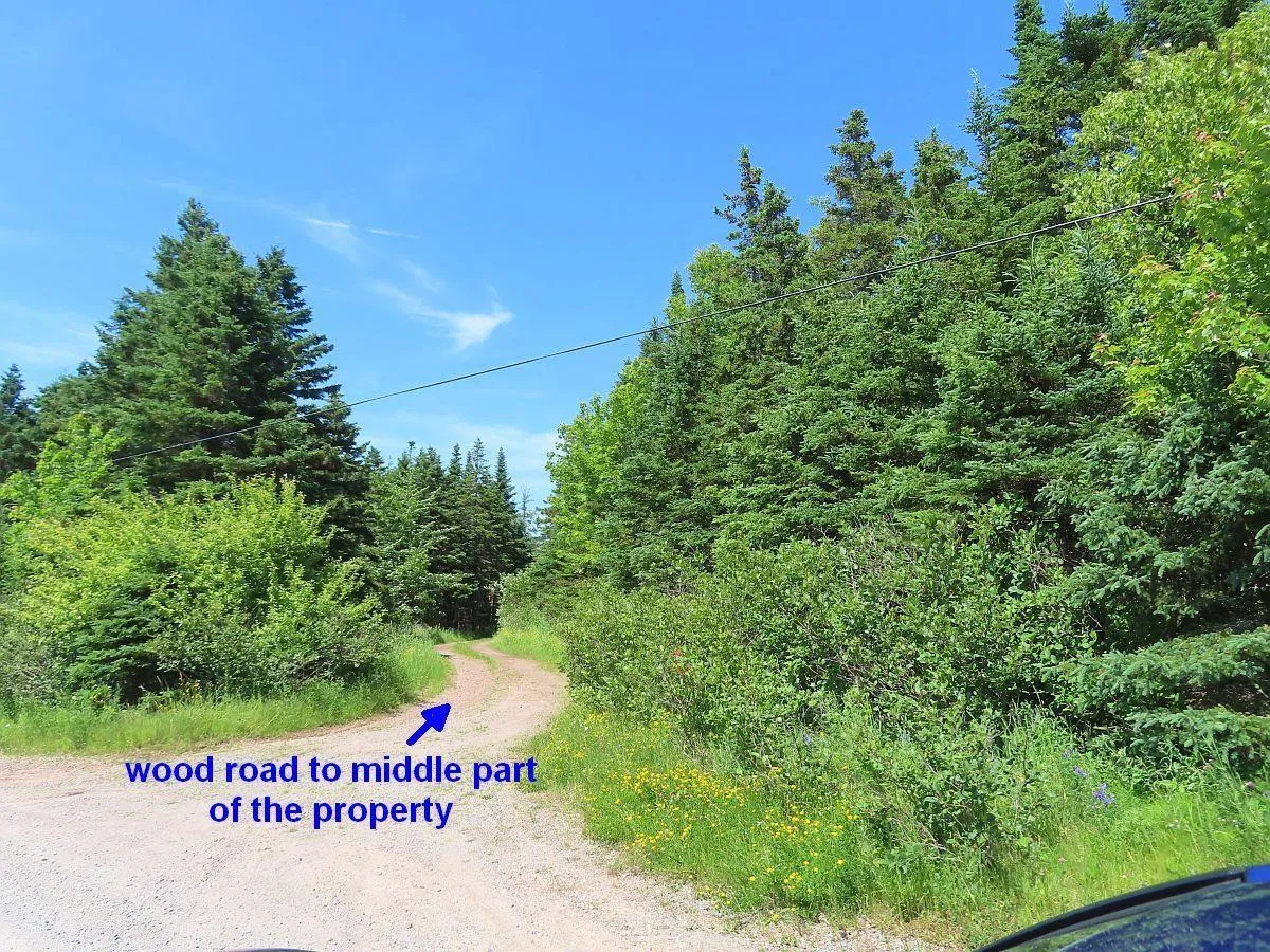 Lot 4 Highway 4, Soldiers Cove Ns B0e 3b0, ,Land,For Sale,Highway 4,202403879