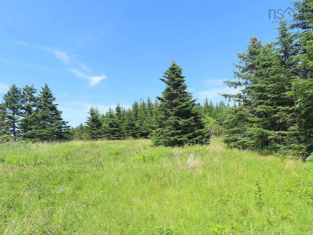 Lot 4 Highway 4, Soldiers Cove Ns B0e 3b0, ,Land,For Sale,Highway 4,202403879