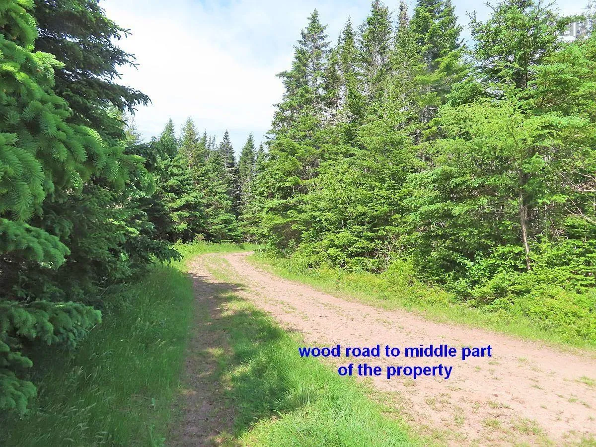 Lot 4 Highway 4, Soldiers Cove Ns B0e 3b0, ,Land,For Sale,Highway 4,202403879