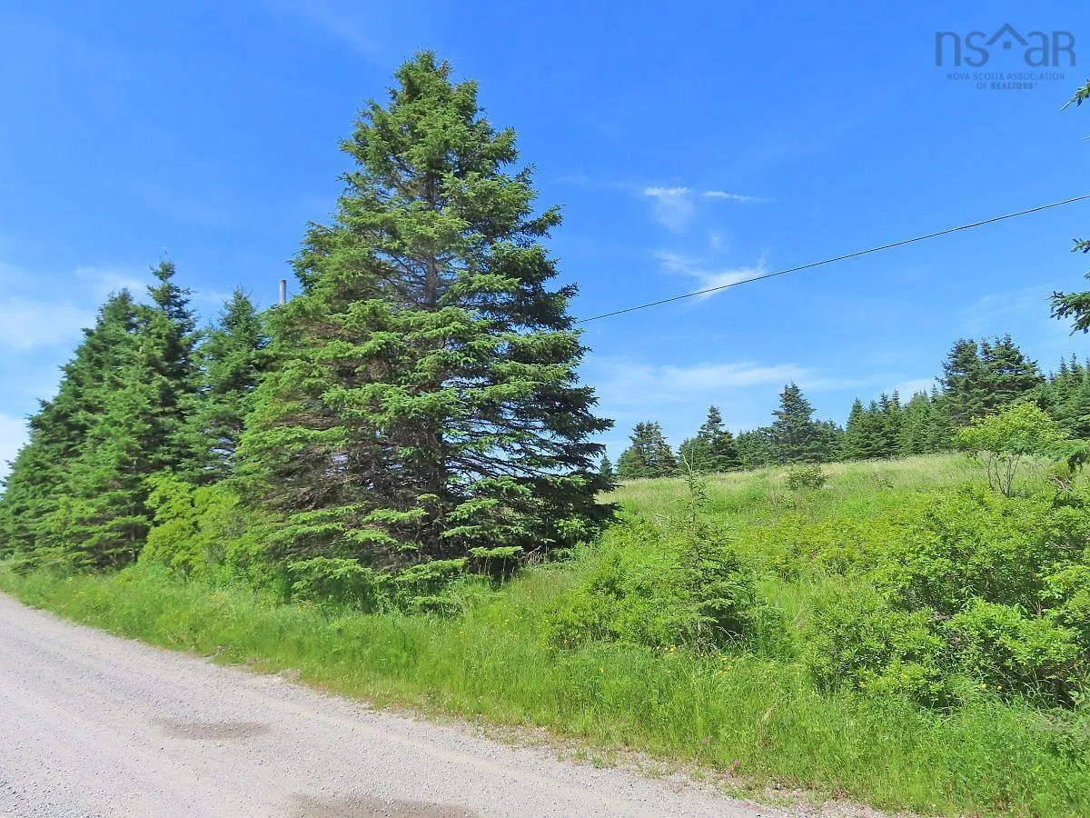 Lot 4 Highway 4, Soldiers Cove Ns B0e 3b0, ,Land,For Sale,Highway 4,202403879