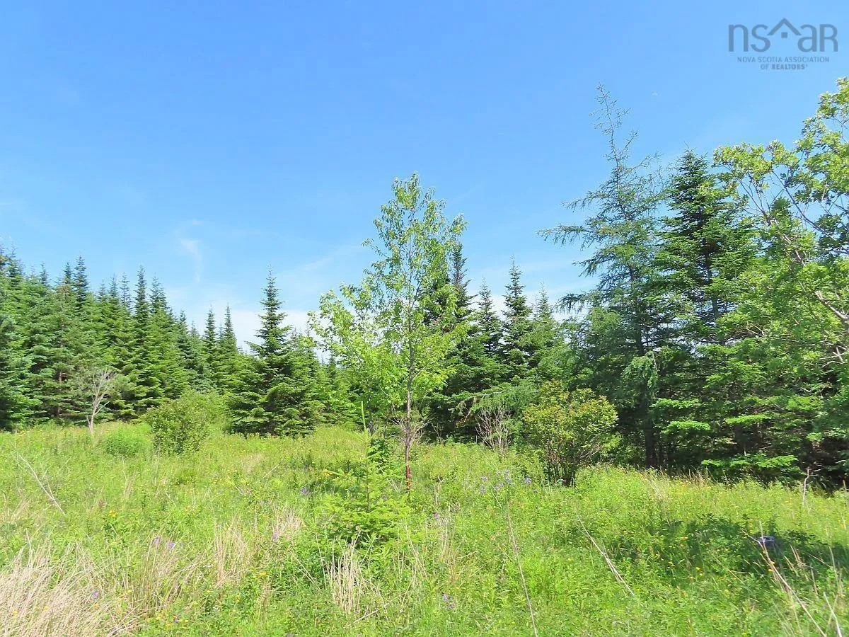 Lot 4 Highway 4, Soldiers Cove Ns B0e 3b0, ,Land,For Sale,Highway 4,202403879