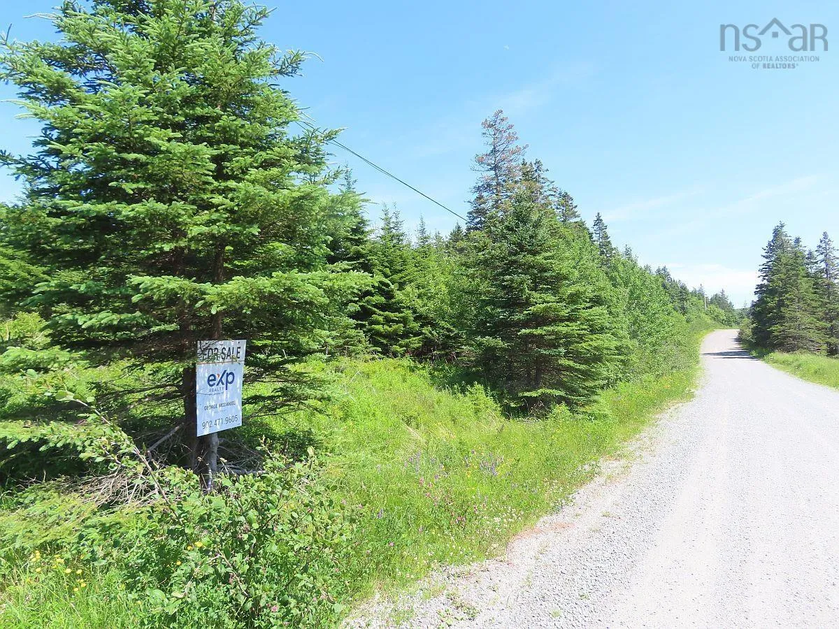 Lot 4 Highway 4, Soldiers Cove Ns B0e 3b0, ,Land,For Sale,Highway 4,202403879